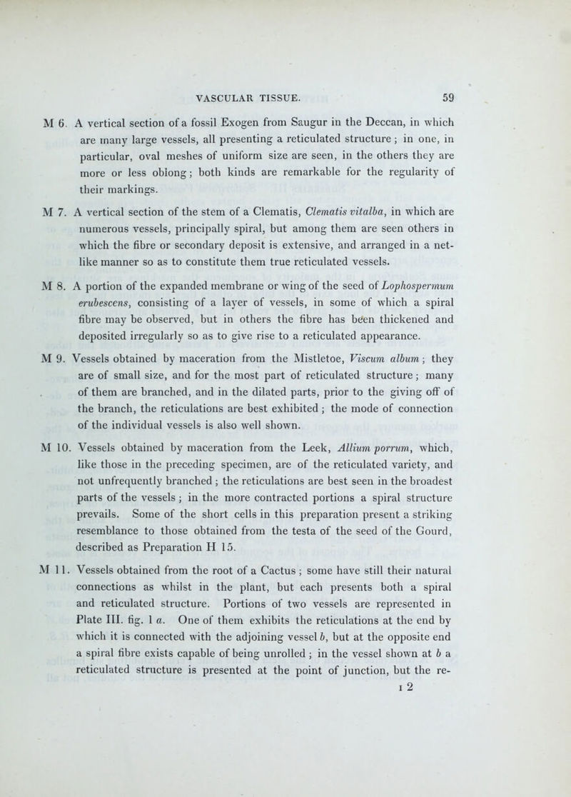 M 6. A vertical section of a fossil Exogen from Saugur in the Deccan, in which are many large vessels, all presenting a reticulated structure ; in one, in particular, oval meshes of uniform size are seen, in the others they are more or less oblong; both kinds are remarkable for the regularity of their markings. M 7. A vertical section of the stem of a Clematis, Clematis vitalba, in which are numerous vessels, principally spiral, but among them are seen others in which the fibre or secondary deposit is extensive, and arranged in a net- like manner so as to constitute them true reticulated vessels. M 8. A portion of the expanded membrane or wing of the seed of Lophospermum eruhescens, consisting of a layer of vessels, in some of which a spiral fibre may be observed, but in others the fibre has been thickened and deposited irregularly so as to give rise to a reticulated appearance. M 9. Vessels obtained by maceration from the Mistletoe, Viscum album ; they are of small size, and for the most part of reticulated structure; many of them are branched, and in the dilated parts, prior to the giving off of the branch, the reticulations are best exhibited; the mode of connection of the individual vessels is also well shown, M 10. Vessels obtained by maceration from the Leek, Allium porrum, which, like those in the preceding specimen, are of the reticulated variety, and not unfrequently branched ; the reticulations are best seen in the broadest parts of the vessels; in the more contracted portions a spiral structure prevails. Some of the short cells in this preparation present a striking resemblance to those obtained from the testa of the seed of the Gourd, described as Preparation H 15. Mil. Vessels obtained from the root of a Cactus ; some have still their natural connections as whilst in the plant, but each presents both a spiral and reticulated structure. Portions of two vessels are represented in Plate III. fig. 1 a. One of them exhibits the reticulations at the end by which it is connected with the adjoining vessel b, but at the opposite end a spiral fibre exists capable of being unrolled ; in the vessel shown at 6 a reticulated structure is presented at the point of junction, but the re- I 2