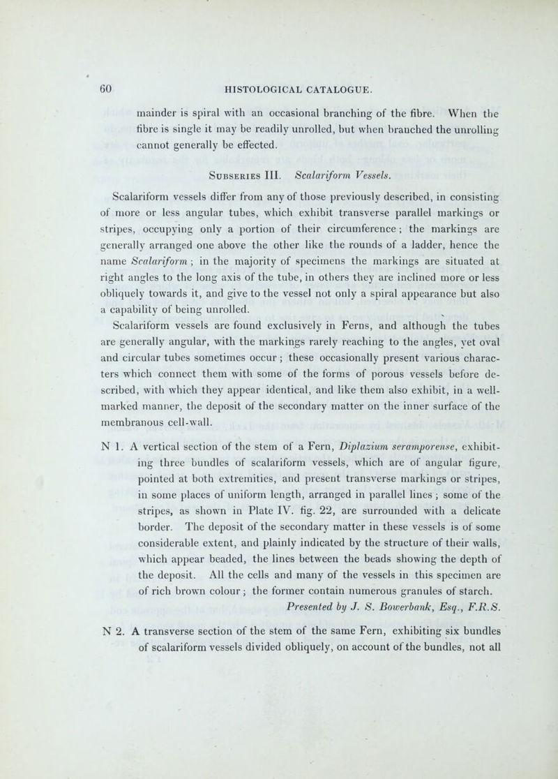 mainder is spiral with an occasional branching of the fibre. When the fibre is single it may be readily unrolled, but when branched the unrolhng cannot generally be effected. SuBSERiES III. Scalariform Vessels. Scalariform vessels differ from any of those previously described, in consisting of more or less angular tubes, which exhibit transverse parallel markings or stripes, occupying only a portion of their circumference ; the markings are generally arranged one above the other like the rounds of a ladder, hence the name Scalariform ; in the majority of specimens the markings are situated at right angles to the long axis of the tube, in others they are inclined more or less obliquely towards it, and give to the vessel not only a spiral appearance but also a capabihty of being unrolled. Scalariform vessels are found exclusively in Ferns, and although the tubes are generally angular, with the markings rarely reaching to the angles, yet oval and circular tubes sometimes occur; these occasionally present various charac- ters which connect them with some of the forms of porous vessels before de- scribed, with which they appear identical, and like them also exhibit, in a well- marked manner, the deposit of the secondary matter on the inner surface of the membranous cell-wall. N 1. A vertical section of the stem of a Fern, Diplazium seramporense, exhibit- ing three bundles of scalariform vessels, which are of angular figure, pointed at both extremities, and present transverse markings or stripes, in some places of uniform length, arranged in parallel lines ; some of the stripes, as shown in Plate IV. fig. 22, are surrounded with a delicate border. The deposit of the secondary matter in these vessels is of some considerable extent, and plainly indicated by the structure of tbeir walls, which appear beaded, the lines between the beads showing the depth of the deposit. All the cells and many of the vessels in this specimen are of rich brown colour ; the former contain numerous granules of starch. Presented by J. S. Bowerbank, Esq., F.R.S. N 2. A transverse section of the stem of the same Fern, exhibiting six bundles of scalariform vessels divided obliquely, on account of the bundles, not all