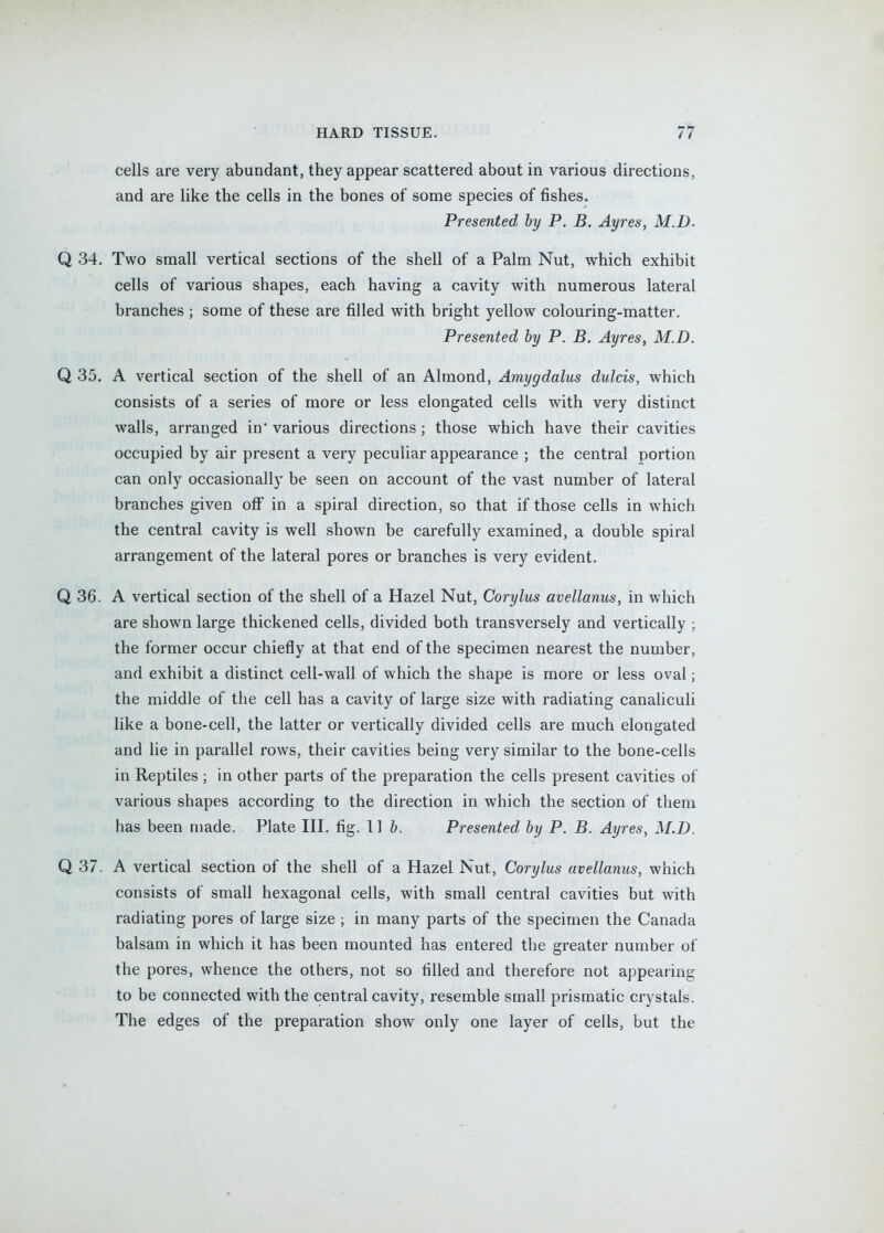 cells are very abundant, they appear scattered about in various directions, and are like the cells in the bones of some species of fishes. Presented by P. B. Ayres, M.D. Q 34. Two small vertical sections of the shell of a Palm Nut, which exhibit cells of various shapes, each having a cavity with numerous lateral branches ; some of these are filled with bright yellow colouring-matter. Presented by P. B. Ayres, M.D. Q 35. A vertical section of the shell of an Almond, Amygdalus dulcis, which consists of a series of more or less elongated cells with very distinct walls, arranged in* various directions; those which have their cavities occupied by air present a very peculiar appearance ; the central portion can only occasionally be seen on account of the vast number of lateral branches given off in a spiral direction, so that if those cells in which the central cavity is well shown be carefully examined, a double spiral arrangement of the lateral pores or branches is very evident. Q 36. A vertical section of the shell of a Hazel Nut, Corylus avellanus, in which are shown large thickened cells, divided both transversely and vertically ; the former occur chiefly at that end of the specimen nearest the number, and exhibit a distinct cell-wall of which the shape is more or less oval; the middle of the cell has a cavity of large size with radiating canaliculi like a bone-cell, the latter or vertically divided cells are much elongated and lie in parallel rows, their cavities being very similar to the bone-cells in Reptiles ; in other parts of the preparation the cells present cavities of various shapes according to the direction in which the section of them has been n)ade. Plate III. fig. 11 b. Presented by P. B. Ayres, M.D. Q 37. A vertical section of the shell of a Hazel Nut, Corylus avellanus, which consists of small hexagonal cells, with small central cavities but with radiating pores of large size ; in many parts of the specimen the Canada balsam in which it has been mounted has entered the greater number of the pores, whence the others, not so filled and therefore not appearing to be connected with the central cavity, resemble small prismatic crystals. The edges of the preparation show only one layer of cells, but the