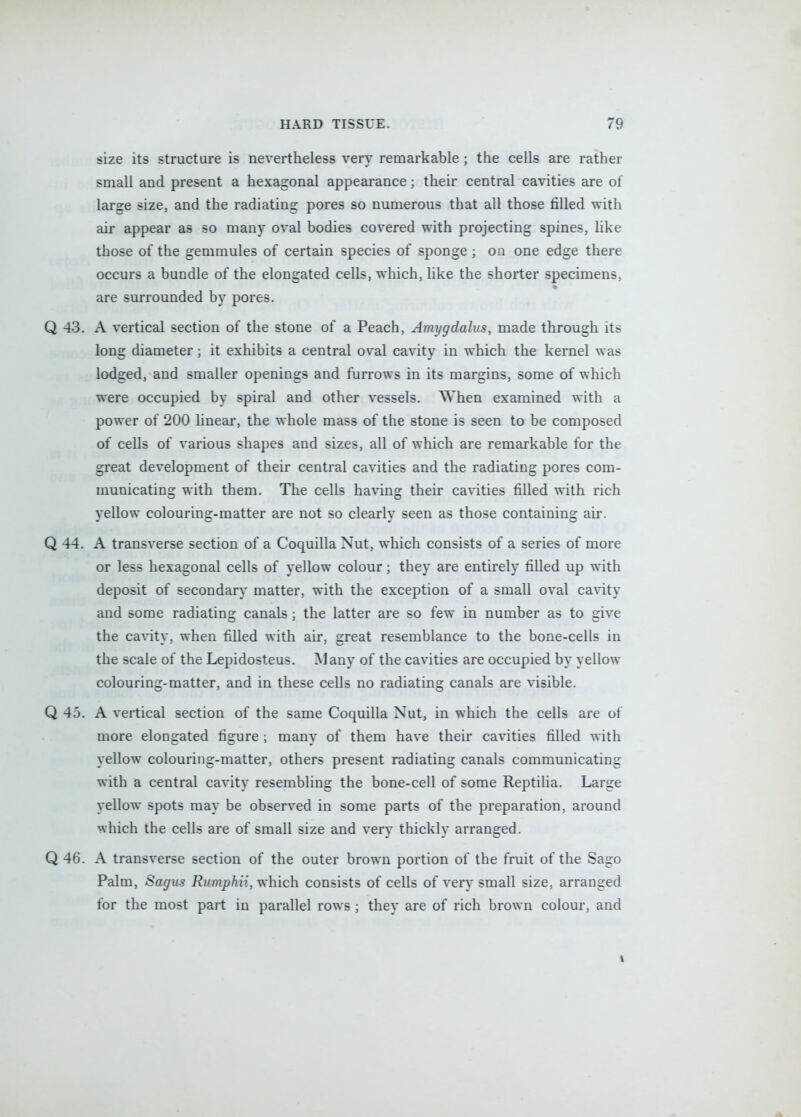 size its structure is nevertheless very remarkable ; the cells are rather small and present a hexagonal appearance; their central cavities are of large size, and the radiating pores so numerous that all those filled with air appear as so many oval bodies covered with projecting spines, like those of the gemmules of certain species of sponge ; on one edge there occurs a bundle of the elongated cells, which, Uke the shorter specimens, are surrounded by pores. Q 43. A vertical section of the stone of a Peach, Amygdalus, made through its long diameter; it exhibits a central oval cavity in which the kernel was lodged, and smaller openings and furrows in its margins, some of which were occupied by spiral and other vessels. When examined with a power of 200 linear, the whole mass of the stone is seen to be composed of cells of various shapes and sizes, all of which are remarkable for the great development of their central cavities and the radiating pores com- municating with them. The cells having their cavities filled with rich yellow colouring-matter are not so clearly seen as those containing air. Q 44. A transverse section of a Coquilla Nut, which consists of a series of more or less hexagonal cells of yellow colour; they are entirely filled up with deposit of secondary matter, with the exception of a small oval cavity and some radiating canals ; the latter are so few in number as to give the cavity, when filled with air, great resemblance to the bone-cells in the scale of the Lepidosteus. Many of the cavities are occupied by yellow colouring-matter, and in these cells no radiating canals are visible. Q 45. A vertical section of the same Coquilla Nut, in which the cells are of more elongated figure ; many of them have their cavities filled with yellow colouring-matter, others present radiating canals communicating with a central cavity resembling the bone-cell of some Reptilia. Large yellow spots may be observed in some parts of the preparation, around which the cells are of small size and very thickly arranged. Q 46. A transverse section of the outer brown portion of the fruit of the Sago Palm, Sagus Rumphii, which consists of cells of very small size, arranged for the most part in parallel rows ; they are of rich brown colour, and