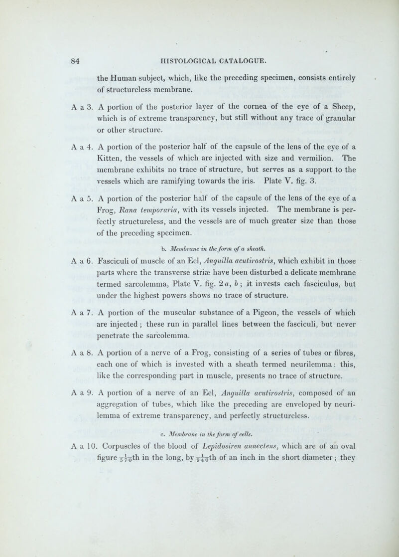 the Human subject, which, like the preceding specimen, consists entirely of structureless membrane. A a 3. A portion of the posterior layer of the cornea of the eye of a Sheep, which is of extreme transparency, but still without any trace of granular or other structure. A a 4. A portion of the posterior half of the capsule of the lens of the eye of a Kitten, the vessels of which are injected with size and vermihon. The membrane exhibits no trace of structure, but serves as a support to the vessels which are ramifying towards the iris. Plate V. fig. 3. A a 5. A portion of the posterior half of the capsule of the lens of the eye of a Frog, Rana temporaria, with its vessels injected. The membrane is per- fectly structureless, and the vessels are of much greater size than those of the preceding specimen. b. Metnbrane in the form of a sheath. A a 6. Fasciculi of muscle of an Eel, Anguilla acutirostris, which exhibit in those parts where the transverse striae have been disturbed a delicate membrane termed sarcolemma, Plate V. fig. 2 a, b; it invests each fasciculus, but under the highest powers shows no trace of structure. A a 7. A portion of the muscular substance of a Pigeon, the vessels of which are injected; these run in parallel lines between the fasciculi, but never penetrate the sarcolemma. A a 8. A portion of a nerve of a Frog, consisting of a series of tubes or fibres, each one of which is invested with a sheath termed neurilemma: this, like the corresponding part in muscle, presents no trace of structure. A a 9. A portion of a nerve of an Eel, Anguilla acutirostris, composed of an aggregation of tubes, which like the preceding are enveloped by neuri- lemma of extreme transparency, and perfectly structureless. c. Membrane in the form of cells. A a 10. Corpuscles of the blood of Lepidosiren annectens, which are of an oval figure s^uth in the long, by g^th of an inch in the short diameter; they