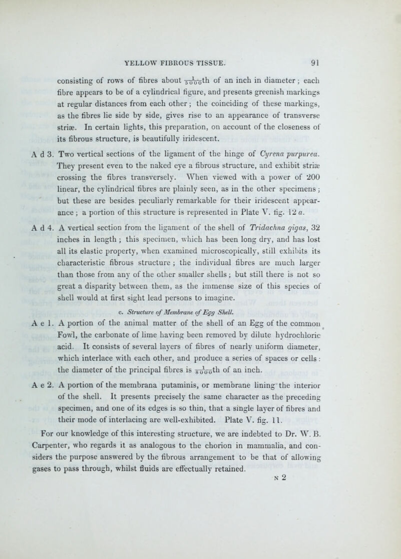 consisting of rows of fibres about 5 0^0 o^b of an inch in diameter; each fibre appears to be of a cylindrical figure, and presents greenish markings at regular distances from each other; the coinciding of these markings, as the fibres lie side by side, gives rise to an appearance of transverse striae. In certain fights, this preparation, on account of the closeness of its fibrous structure, is beautifully iridescent. A d 3. Two vertical sections of the hgament of the hinge of Cyrena purpurea. They present even to the naked eye a fibrous structure, and exhibit striae crossing the fibres transversely. When viewed with a power of 200 linear, the cylindrical fibres are plainly seen, as in the other specimens; but these are besides peculiarly remarkable for their iridescent appear- ance ; a portion of this structure is represented in Plate V. fig. 12 a. A d 4. A vertical section from the ligament of the shell of Tridachna gigas, 32 inches in length ; this specimen, which has been long dry, and has lost all its elastic property, when examined microscopically, still exhibits its characteristic fibrous structure ; the individual fibres are much larger than those from any of the other smaller shells; but still there is not so great a disparity between them, as the immense size of this species of shell would at first sight lead persons to imagine. c. Structure of Membrane of Egg Shell. A e 1. A portion of the animal matter of the shell of an Egg of the common Fowl, the carbonate of hme having been removed by dilute hydrochloric acid. It consists of several layers of fibres of nearly uniform diameter, which interlace with each other, and produce a series of spaces or cells: the diameter of the principal fibres is iiHJot^ inch. A e 2, A portion of the membrana putaminis, or membrane lining the interior of the shell. It presents precisely the same character as the preceding specimen, and one of its edges is so thin, that a single layer of fibres and their mode of interlacing are well-exhibited. Plate V. fig. 11. For our knowledge of this interesting structure, we are indebted to Dr. W. B. Carpenter, who regards it as analogous to the chorion in mammalia, and con- siders the purpose answered by the fibrous arrangement to be that of allowing gases to pass through, whilst fluids are effectually retained. N 2