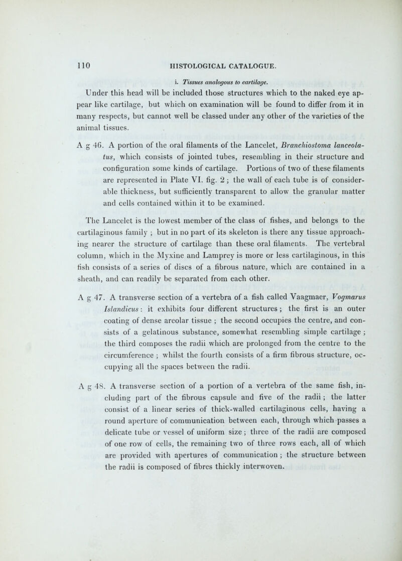 i. Tissues analogous to cartilage. Under this head will be included those structures which to the naked eye ap- pear like cartilage, but which on examination will be found to differ from it in many respects, but cannot well be classed under any other of the varieties of the animal tissues. A g 4G. A portion of the oral filaments of the Lancelet, Branchiostoma lanceola- tus, which consists of jointed tubes, resembling in their structure and configuration some kinds of cartilage. Portions of two of these filaments are represented in Plate VI. fig. 2 ; the wall of each tube is of consider- able thickness, but sufficiently transparent to allow the granular matter and cells contained within it to be examined. The Lancelet is the lowest member of the class of fishes, and belongs to the cartilaginous family ; but in no part of its skeleton is there any tissue approach- ing nearer the structure of cartilage than these oral filaments. The vertebral column, which in the Myxine and Lamprey is more or less cartilaginous, in this fish consists of a series of discs of a fibrous nature, which are contained in a sheath, and can readily be separated from each other. A g 47. A transverse section of a vertebra of a fish called Vaagmaer, Vogmarus Islandicus: it exhibits four difierent structures ; the first is an outer coating of dense areolar tissue ; the second occupies the centre, and con- sists of a gelatinous substance, somewhat resembling simple cartilage ; the third composes the radii which are prolonged from the centre to the circumference ; whilst the fourth consists of a firm fibrous structure, oc- cupying all the spaces between the radii. A g 48. A transverse sectioil of a portion of a vertebra of the same fish, in- cluding part of the fibrous capsule and five of the radii; the latter consist of a linear series of thick-walled cartilaginous cells, having a round aperture of communication between each, through which passes a delicate tube or vessel of uniform size; three of the radii are composed of one row of cells, the remaining two of three rows each, all of which are provided with apertures of communication ; the structure between the radii is composed of fibres thickly interwoven.