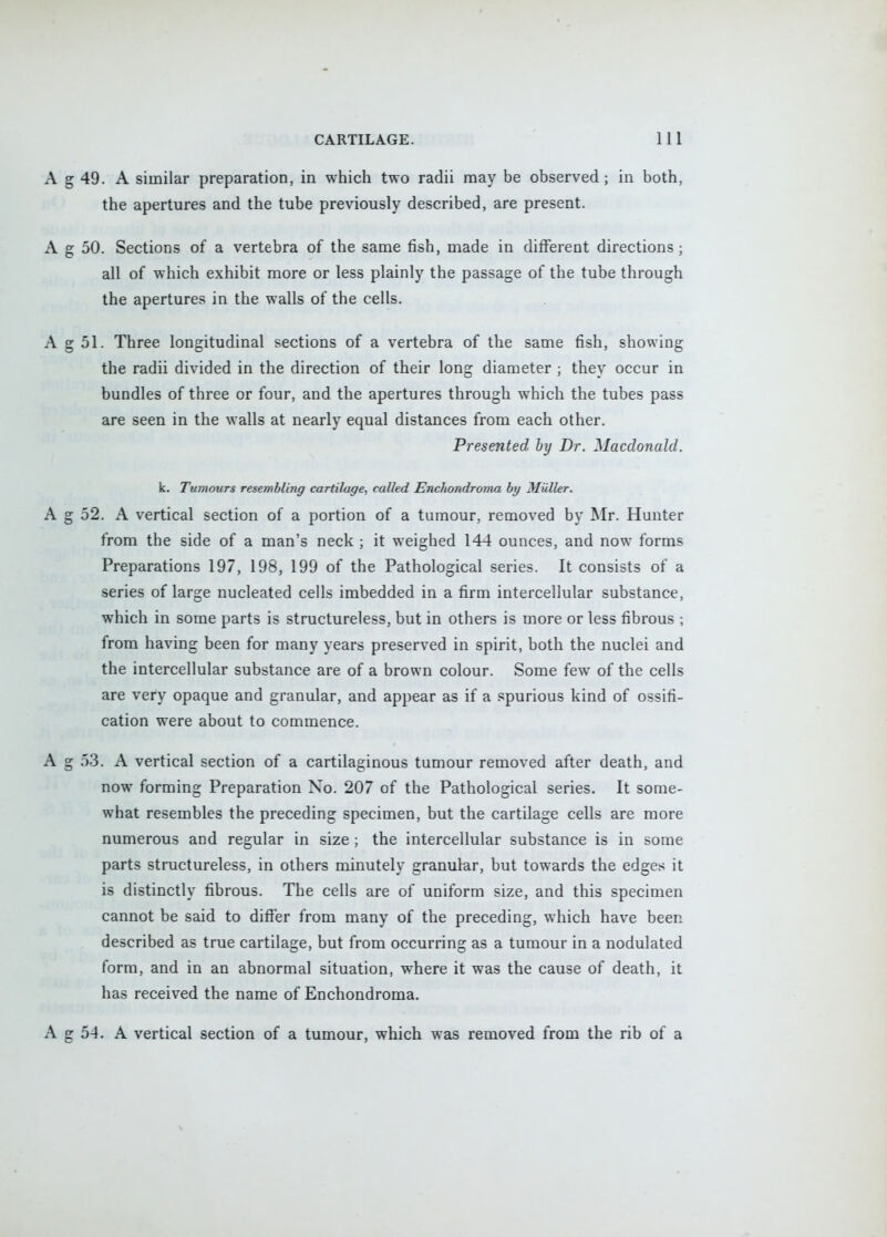 A g 49. A similar preparation, in which two radii may be observed ; in both, the apertures and the tube previously described, are present. A g 50. Sections of a vertebra of the same fish, made in different directions ; all of which exhibit more or less plainly the passage of the tube through the apertures in the walls of the cells. A g 51. Three longitudinal sections of a vertebra of the same fish, showing the radii divided in the direction of their long diameter ; they occur in bundles of three or four, and the apertures through which the tubes pass are seen in the walls at nearly equal distances from each other. Presented by Dr. Macdonald. k. Tumours resembling cartilage, called EncJuyndroma by Miiller. A g 52. A vertical section of a portion of a tumour, removed by Mr. Hunter from the side of a man's neck ; it weighed 144 ounces, and now forms Preparations 197, 198, 199 of the Pathological series. It consists of a series of large nucleated cells imbedded in a firm intercellular substance, which in some parts is structureless, but in others is more or less fibrous ; from having been for many years preserved in spirit, both the nuclei and the intercellular substance are of a brown colour. Some few of the cells are very opaque and granular, and appear as if a spurious kind of ossifi- cation were about to commence. A g 53. A vertical section of a cartilaginous tumour removed after death, and now forming Preparation No. 207 of the Pathological series. It some- what resembles the preceding specimen, but the cartilage cells are more numerous and regular in size ; the intercellular substance is in some parts structureless, in others minutely granular, but towards the edges it is distinctly fibrous. The cells are of uniform size, and this specimen cannot be said to differ from many of the preceding, which have been described as true cartilage, but from occurring as a tumour in a nodulated form, and in an abnormal situation, where it was the cause of death, it has received the name of Enchondroma. A g 54. A vertical section of a tumour, which was removed from the rib of a