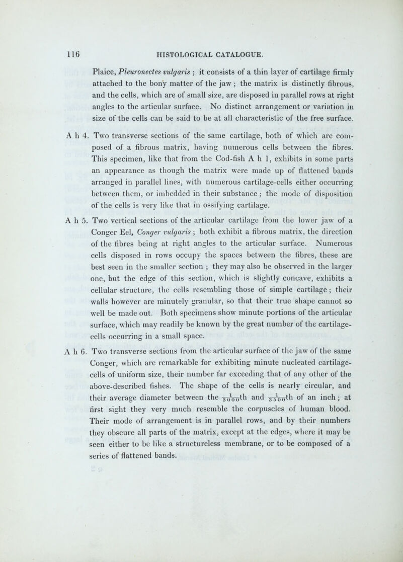 Plaice, Pleuronectes vulgaris ; it consists of a thin layer of cartilage firmly attached to the bony matter of the jaw ; the matrix is distinctly fibrous, and the cells, which are of small size, are disposed in parallel rows at right angles to the articular surface. No distinct arrangement or variation in size of the cells can be said to be at all characteristic of the free surface. A h 4. Two transverse sections of the same cartilage, both of which are com- posed of a fibrous matrix, having numerous cells between the fibres. This specimen, like that from the Cod-fish A h 1, exhibits in some parts an appearance as though the matrix were made up of flattened bands arranged in parallel lines, with numerous cartilage-cells either occurring between them, or imbedded in their substance ; the mode of disposition of the cells is very like that in ossifying cartilage. A h 5. Two vertical sections of the articular cartilage from the lower jaw of a Conger Eel, Conger vulgaris ; both exhibit a fibrous matrix, the direction of the fibres being at right angles to the articular surface. Numerous cells disposed in rows occupy the spaces between the fibres, these are best seen in the smaller section ; they may also be observed in the larger one, but the edge of this section, which is slightly concave, exhibits a cellular structure, the cells resembling those of simple cartilage; their walls however are minutely granular, so that their true shape cannot so well be made out. Both specimens show minute portions of the articular surface, which may readily be known by the great number of the cartilage- cells occurring in a small space. A h 6. Two transverse sections from the articular surface of the jaw of the same Conger, which are remarkable for exhibiting minute nucleated cartilage- cells of uniform size, their number far exceeding that of any other of the above-described fishes. The shape of the cells is nearly circular, and their average diameter between the scrooth and xiVoth of an inch; at first sight they very much resemble the corpuscles of human blood. Their mode of arrangement is in parallel rows, and by their numbers they obscure all parts of the matrix, except at the edges, where it may be seen either to be like a structureless membrane, or to be composed of a series of flattened bands.