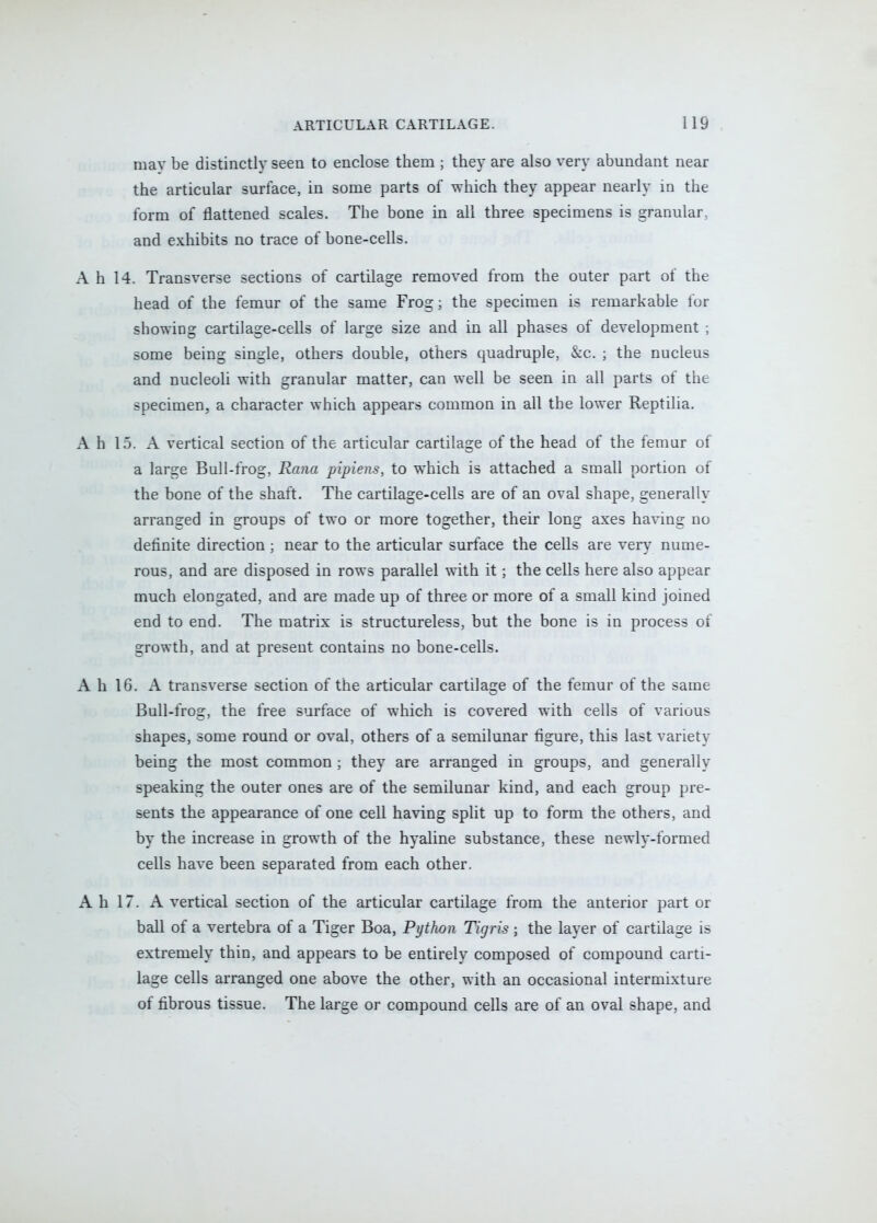 mav be distinctly seen to enclose them ; they are also very abundant near the articular surface, in some parts of which they appear nearly in the form of flattened scales. The bone in all three specimens is granular, and exhibits no trace of bone-cells. A h 14. Transverse sections of cartilage removed from the outer part of the head of the femur of the same Frog; the specimen is remarkable for showing cartilage-cells of large size and in all phases of development ; some being single, others double, others quadruple, &c. ; the nucleus and nucleoli with granular matter, can well be seen in all parts of the specimen, a character which appears common in all the lower Reptilia. A h 15. A vertical section of the articular cartilage of the head of the femur of a large Bull-frog, Rana pipiens, to which is attached a small portion of the bone of the shaft. The cartilage-cells are of an oval shape, generally arranged in groups of two or more together, their long axes having no definite direction ; near to the articular surface the cells are very nume- rous, and are disposed in rows parallel with it; the cells here also appear much elongated, and are made up of three or more of a small kind joined end to end. The matrix is structureless, but the bone is in process of growth, and at present contains no bone-cells. A h 16. A transverse section of the articular cartilage of the femur of the same Bull-frog, the free surface of which is covered with cells of various shapes, some round or oval, others of a semilunar figure, this last variety being the most common ; they are arranged in groups, and generally speaking the outer ones are of the semilunar kind, and each group pre- sents the appearance of one cell having split up to form the others, and by the increase in growth of the hyaline substance, these newly-formed cells have been separated from each other. Ah 17. A vertical section of the articular cartilage from the anterior part or ball of a vertebra of a Tiger Boa, Python Tigris ; the layer of cartilage is extremely thin, and appears to be entirely composed of compound carti- lage cells arranged one above the other, with an occasional intermixture of fibrous tissue. The large or compound cells are of an oval shape, and