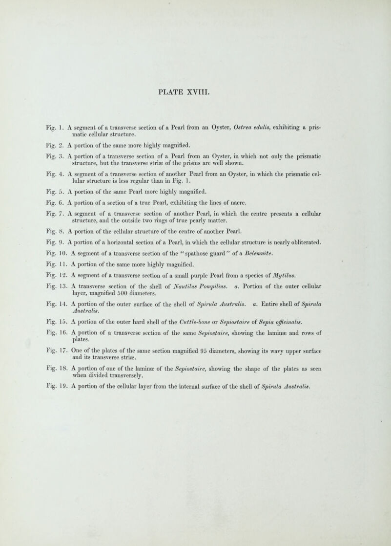 matic cellular structure. Fig. 2. A portion of the same more highly magnified. L portion of a transverse section of a Pearl from an Oyster, in w structure, but the transverse strise of the prisms are well shown. I segment of a transverse section of another Pearl from an Oyste lular structure is less regular than in Fig. 1. structure, and the outside two rings of true pearly matter. Fig. 1. Fiff 2. Fio- 3. Fig. 4. Fig. 5. rig. u. Fig. 7. Fig. 8. Fig. 9. Vicr rig. 1 n Fig. 11, Fig. 12, Fig. 13, Fig. 14, Fig. 15, Fig. 16 Fig. 17, Fig. 18 Fig. 19 layer, magnified 500 diameters. A portion of the outer surface of the shell of Spirula Australis. a. Entire shell of Spi. Australia. Fig. 15. A portion of the outer hard shell of the Cuttle-bone or Sepiostaire of Sepia officinalis. A portion of a transverse section of the same Sepiostaire, showing the laminae and row plates. One of the plates of the same section magnified 95 diameters, showing its wavy upper sur and its transverse striae. A portion of one of the laminae of the Sepiostaire, showing the shape of the plates as i when divided transversely. Fig. 19. A portion of the cellular layer from the internal surface of the shell of Spirula Australia.