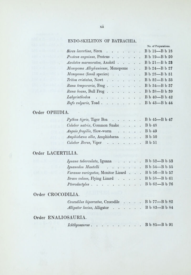 ENDO-SKELETON OF BATRACHIA. No. of Preparations. Siren lacertina, Siren B b 15—B b 18 P'/oteus anguinus, Proteus B b 19—B b 20 Axolotes marmoratus, Axolotl B b 21—B b 23 Menopoma Alleghaniense, Menopome . . B b 24—B b 27 Menopoma (fossil species) B b 28—B b 31 Triton cristatus, Newt B b 32—B b 33 Rana temporaria, Erog B b 34—B b 37 Rana loans, Bull Erog B b 38—B b 39 Labyrinthodon B b 40—B b 42 Bufo vulgaris, Toad B b 43—B b 44 Order OPHIDIA. Python tigris, Tiger Boa B b 45—B b 47 Coluber natrix, Common Snake . . . . B b 48 Anguis fragilis, Slow-worm B b 49 Amphisbana alba, Amphisbaena . . . . B b 50 Coluber Perns, Viper B b 51 Order LACERTILIA. Iguana tuberculata, Iguana Iguanodon Mantelli Varanus variegatus, Monitor Lizard . Draco volans, Flying Lizard . . Order CROCODILIA. Crocodilus biporcatus, Crocodile . . . . B b 77—B b 82 Alligator lucius, Alligator B b 83—B b 84 Order ENALIOSAURIA. Ichthyosaurus B b 85—B b 91 B b 52—B b 53 B b 54—B b 55 B b 56—B b 57 B b 58—B b 61