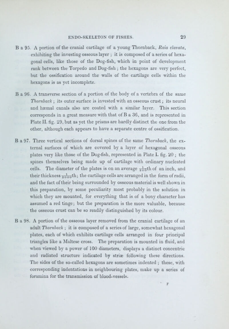 B a 95. A portion of the cranial cartilage of a young Thornback, Rata clavata, exhibiting the investing osseous layer ; it is composed of a series of hexa- gonal cells, like those of the Dog-fish, which in point of development rank between the Torpedo and Dog-fish ; the hexagons are very perfect, but the ossification around the walls of the cartilage cells within the hexagons is as yet incomplete. B a 96. A transverse section of a portion of the body of a vertebra of the same Thornback ; its outer surface is invested with an osseous crust; its neural and haemal canals also are coated with a similar layer. This section corresponds in a great measure with that of B a 36, and is represented in Plate II. fig. 29. but as yet the prisms are hardly distinct the one from the other, although each appears to have a separate centre of ossification. B a 97. Three vertical sections of dorsal spines of the same Thornback, the ex- ternal surfaces of which are covered by a layer of hexagonal osseous plates very like those of the Dog-fish, represented in Plate I. fig. 20 ; the spines themselves being made up of cartilage with ordinary nucleated cells. The diameter of the plates is on an average T^uth of an inch, and their thickness ToootnJ tne cartilage cells are arranged in the form of radii, and the fact of their being surrounded by osseous material is well shown in this preparation, by some peculiarity most probably in the solution in which they are mounted, for everything that is of a bony character has assumed a red tinge; but the preparation is the more valuable, because the osseous crust can be so readily distinguished by its colour. B a 98. A portion of the osseous layer removed from the cranial cartilage of an adult Thornback ; it is composed of a series of large, somewhat hexagonal plates, each of which exhibits cartilage cells arranged in four principal triangles like a Maltese cross. The preparation is mounted in fluid, and when viewed by a power of 100 diameters, displays a distinct concentric and radiated structure indicated by striae following these directions. The sides of the so-called hexagons are sometimes indented ; these, with corresponding indentations in neighbouring plates, make up a series of foramina for the transmission of blood-vessels.