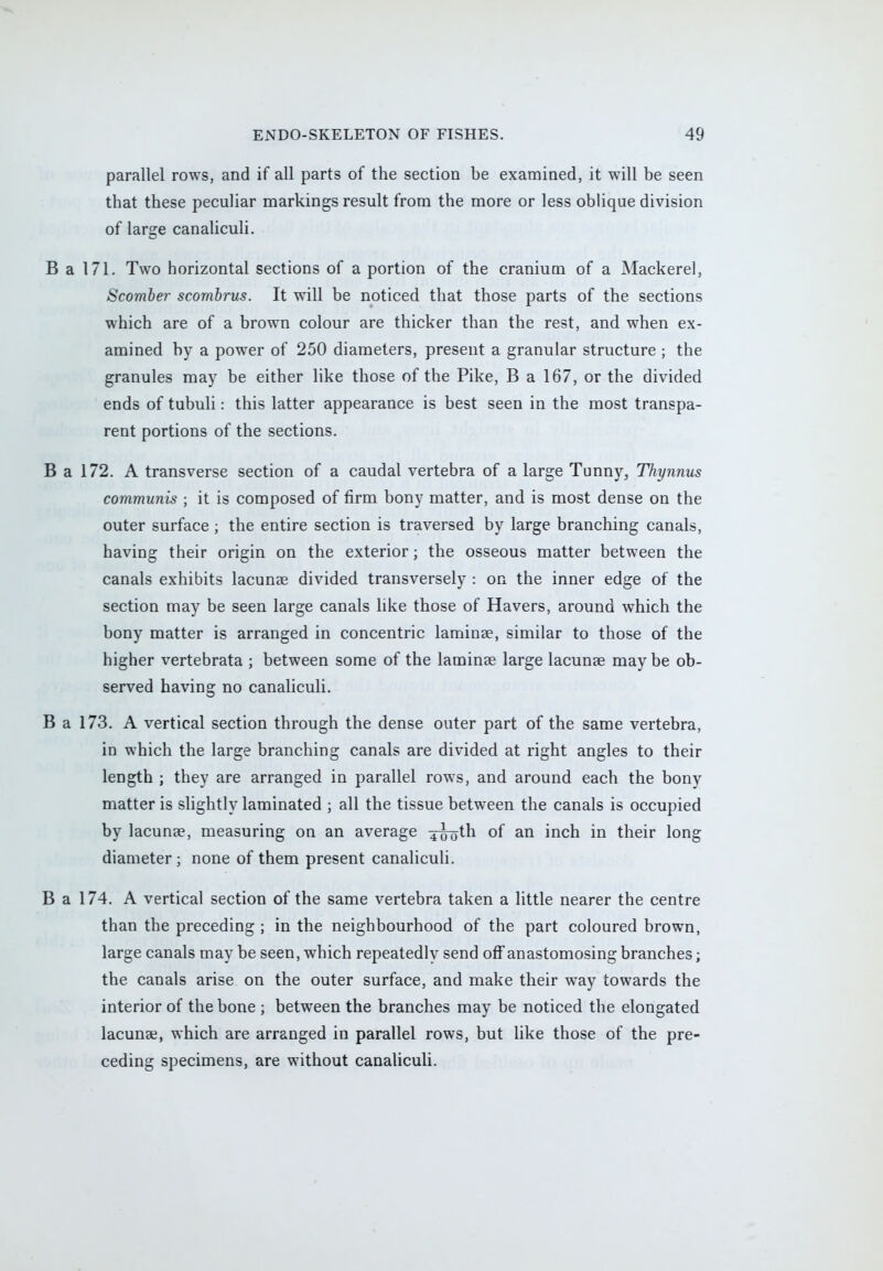 parallel rows, and if all parts of the section be examined, it will be seen that these peculiar markings result from the more or less oblique division of large canaliculi. B a 171. Two horizontal sections of a portion of the cranium of a Mackerel, Scomber scombrus. It will be noticed that those parts of the sections which are of a brown colour are thicker than the rest, and when ex- amined by a power of 250 diameters, present a granular structure ; the granules may be either like those of the Pike, B a 167, or the divided ends of tubuli: this latter appearance is best seen in the most transpa- rent portions of the sections. B a 172. A transverse section of a caudal vertebra of a large Tunny, Thynnus communis ; it is composed of firm bony matter, and is most dense on the outer surface; the entire section is traversed by large branching canals, having their origin on the exterior; the osseous matter between the canals exhibits lacunse divided transversely : on the inner edge of the section may be seen large canals like those of Havers, around which the bony matter is arranged in concentric laminae, similar to those of the higher vertebrata ; between some of the lamina? large lacunse may be ob- served having no canaliculi. B a 173. A vertical section through the dense outer part of the same vertebra, in which the large branching canals are divided at right angles to their length ; they are arranged in parallel rows, and around each the bony matter is slightly laminated ; all the tissue between the canals is occupied by lacunae, measuring on an average 4^otn °f an inch in their long diameter ; none of them present canaliculi. B a 174. A vertical section of the same vertebra taken a little nearer the centre than the preceding ; in the neighbourhood of the part coloured brown, large canals may be seen, which repeatedly send off anastomosing branches; the canals arise on the outer surface, and make their way towards the interior of the bone ; between the branches may be noticed the elongated lacunae, which are arranged in parallel rows, but like those of the pre- ceding specimens, are without canaliculi.