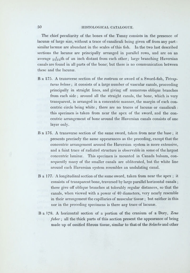 The chief peculiarity of the bones of the Tunny consists in the presence of lacunae of large size, without a trace of canaliculi being given off from any part: similar lacunae are abundant in the scales of this fish. In the two last described sections the lacunse are principally arranged in parallel rows, and are on an average 2Woth of an inch distant from each other; large branching Haversian canals are found in all parts of the bone, but there is no communication between these and the lacunas. B a 175. A transverse section of the rostrum or sword of a Sword-fish, Tetrap- turus belone ; it consists of a large number of vascular canals, proceeding principally in straight lines, and giving off numerous oblique branches from each side ; around all the straight canals, the bone, which is very transparent, is arranged in a concentric manner, the margin of each con- centric circle being white; there are no traces of lacunae or canaliculi: this specimen is taken from near the apex of the sword, and the con- centric arrangement of bone around the Haversian canals consists of one layer only. B a 176. A transverse section of the same sword, taken from near the base ; it presents precisely the same appearances as the preceding, except that the concentric arrangement around the Haversian system is more extensive, and a faint trace of radiated structure is observable in some of the largest concentric laminae. This specimen is mounted in Canada balsam, con- sequently many of the smaller canals are obliterated, but the white line around each Haversian system resembles an undulating canal. B a 177. A longitudinal section of the same sword, taken from near the apex ; it consists of transparent bone, traversed by large parallel horizontal canals ; these give off oblique branches at tolerably regular distances, so that the canals, when viewed with a power of 40 diameters, very nearly resemble in their arrangement the capillaries of muscular tissue ; but neither in this nor in the preceding specimens is there any trace of lacunae. B a 178. A horizontal section of a portion of the cranium of a Dory, Zeus faber ; all the thick parts of this section present the appearance of being made up of ossified fibrous tissue, similar to that of the Selache and other