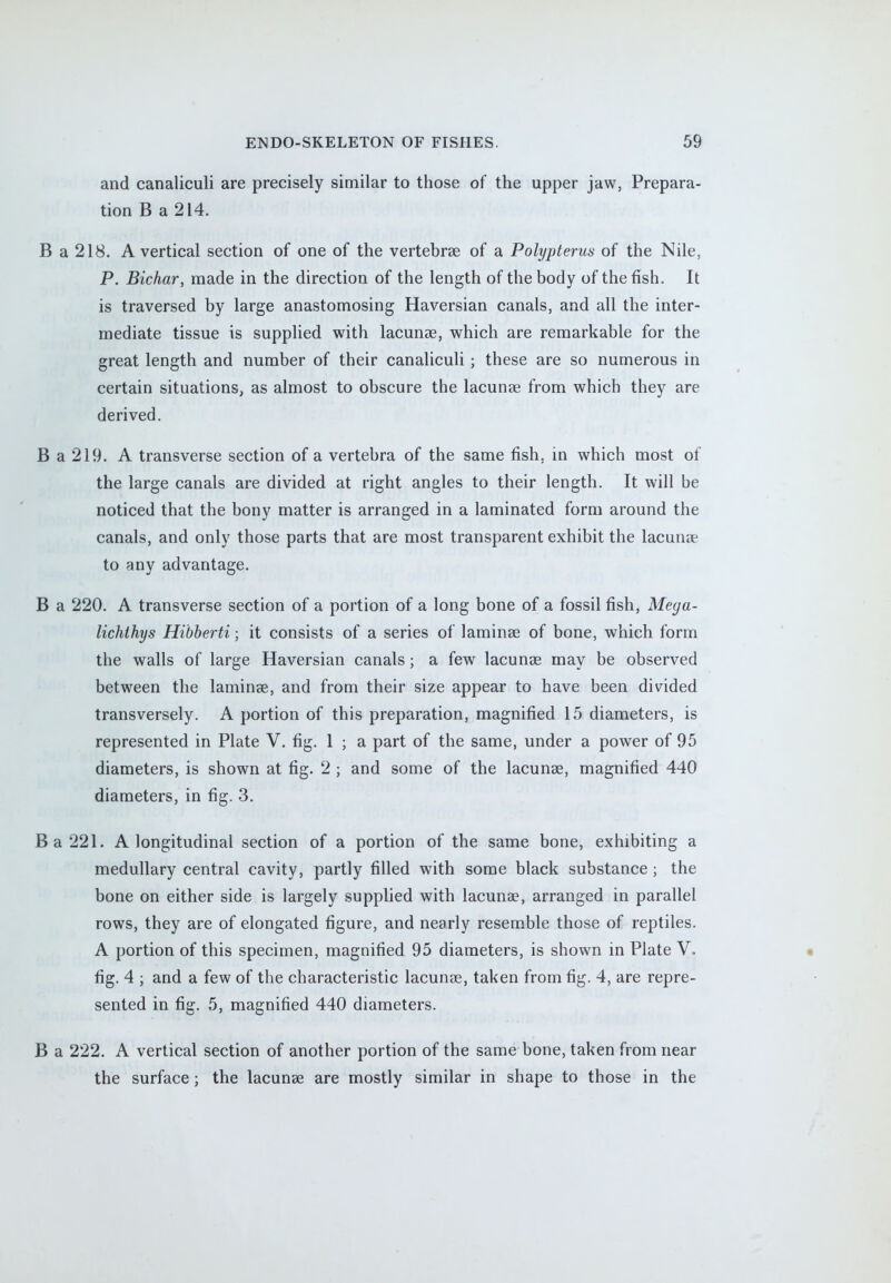 and canaliculi are precisely similar to those of the upper jaw, Prepara- tion B a 214. B a 218. A vertical section of one of the vertebrae of a Polypterus of the Nile, P. Bichar, made in the direction of the length of the body of the fish. It is traversed by large anastomosing Haversian canals, and all the inter- mediate tissue is supplied with lacunae, which are remarkable for the great length and number of their canaliculi ; these are so numerous in certain situations, as almost to obscure the lacunae from which they are derived. B a 219. A transverse section of a vertebra of the same fish, in which most of the large canals are divided at right angles to their length. It will be noticed that the bony matter is arranged in a laminated form around the canals, and only those parts that are most transparent exhibit the lacunae to any advantage. B a 220. A transverse section of a portion of a long bone of a fossil fish, Meya- lichihys Hibberti • it consists of a series of laminae of bone, which form the walls of large Haversian canals; a few lacunae may be observed between the laminae, and from their size appear to have been divided transversely. A portion of this preparation, magnified 15 diameters, is represented in Plate V. fig. 1 ; a part of the same, under a power of 95 diameters, is shown at fig. 2 ; and some of the lacunae, magnified 440 diameters, in fig. 3. Ba221. A longitudinal section of a portion of the same bone, exhibiting a medullary central cavity, partly filled with some black substance; the bone on either side is largely supplied with lacunae, arranged in parallel rows, they are of elongated figure, and nearly resemble those of reptiles. A portion of this specimen, magnified 95 diameters, is shown in Plate V. fig. 4 ; and a few of the characteristic lacunae, taken from fig. 4, are repre- sented in fig. 5, magnified 440 diameters. B a 222. A vertical section of another portion of the same bone, taken from near the surface; the lacunae are mostly similar in shape to those in the