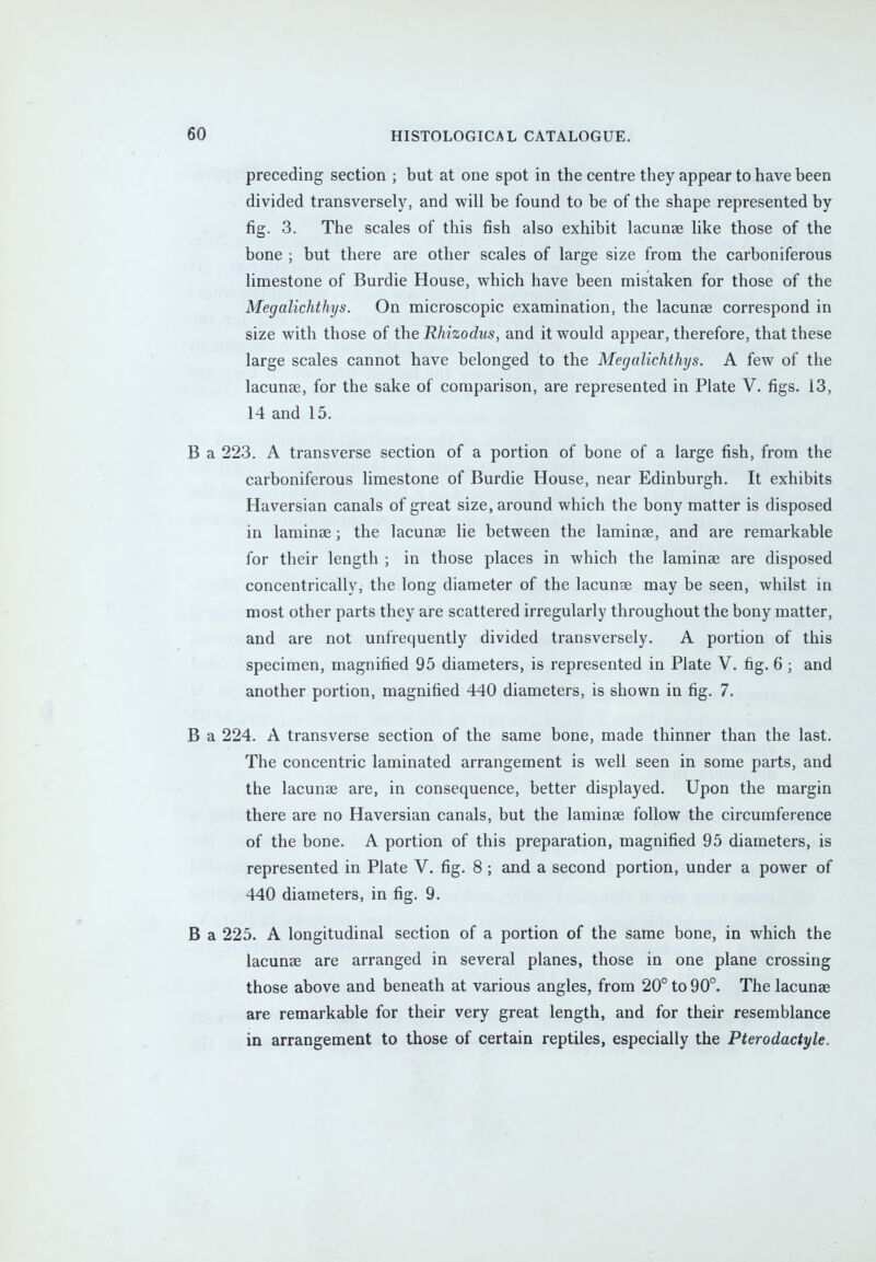 preceding section ; but at one spot in the centre they appear to have been divided transversely, and will be found to be of the shape represented by fig. 3. The scales of this fish also exhibit lacunas like those of the bone ; but there are other scales of large size from the carboniferous limestone of Burdie House, which have been mistaken for those of the Megalichthys. On microscopic examination, the lacunae correspond in size with those of the Rhizodus, and it would appear, therefore, that these large scales cannot have belonged to the Megalichthys. A few of the lacunas, for the sake of comparison, are represented in Plate V. figs. 13, 14 and 15. B a 223. A transverse section of a portion of bone of a large fish, from the carboniferous limestone of Burdie House, near Edinburgh. It exhibits Haversian canals of great size, around which the bony matter is disposed in laminae; the lacunae lie between the laminae, and are remarkable for their length ; in those places in which the laminae are disposed concentrically, the long diameter of the lacunae may be seen, whilst in most other parts they are scattered irregularly throughout the bony matter, and are not unfrequently divided transversely. A portion of this specimen, magnified 95 diameters, is represented in Plate V. fig. 6 ; and another portion, magnified 440 diameters, is shown in fig. 7. B a 224. A transverse section of the same bone, made thinner than the last. The concentric laminated arrangement is well seen in some parts, and the lacunae are, in consequence, better displayed. Upon the margin there are no Haversian canals, but the laminae follow the circumference of the bone. A portion of this preparation, magnified 95 diameters, is represented in Plate V. fig. 8 ; and a second portion, under a power of 440 diameters, in fig. 9. B a 225. A longitudinal section of a portion of the same bone, in which the lacunae are arranged in several planes, those in one plane crossing those above and beneath at various angles, from 20° to 90°. The lacunae are remarkable for their very great length, and for their resemblance in arrangement to those of certain reptiles, especially the Pterodactyle.