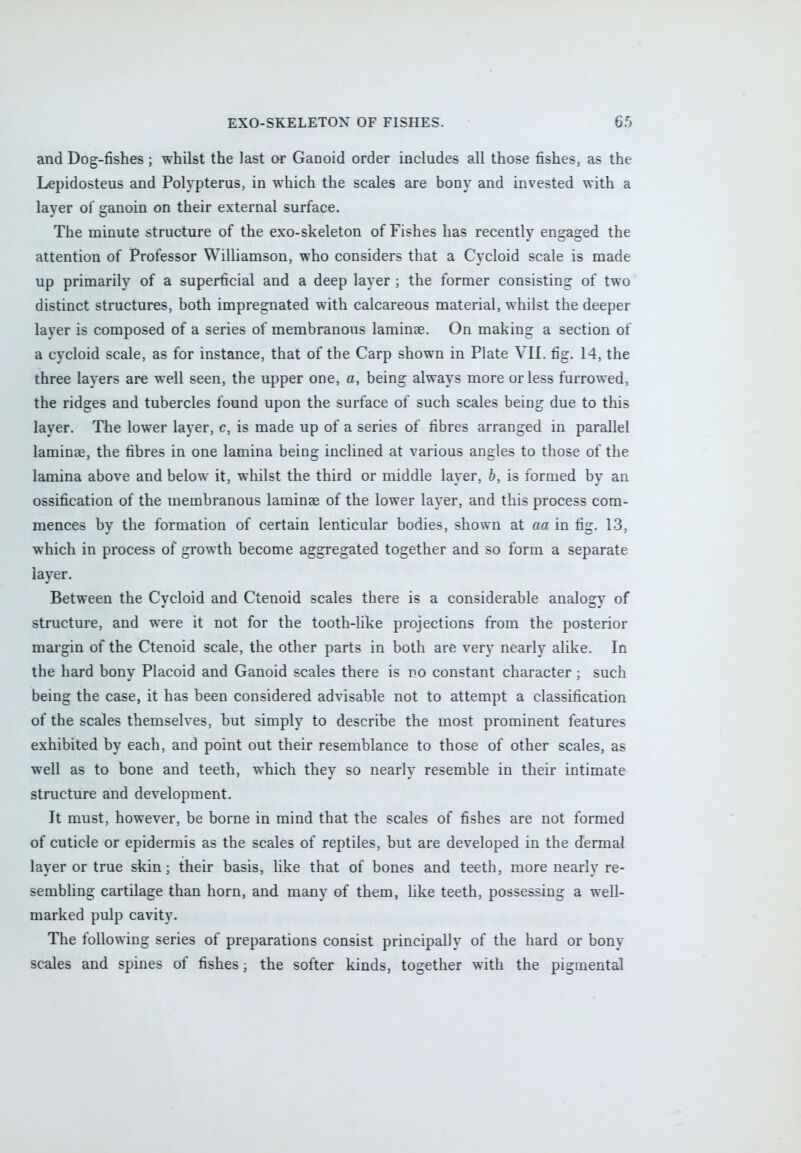 and Dog-fishes ; whilst the last or Ganoid order includes all those fishes, as the Lepidosteus and Polypterus, in which the scales are bony and invested with a layer of ganoin on their external surface. The minute structure of the exo-skeleton of Fishes has recently engaged the attention of Professor Williamson, who considers that a Cycloid scale is made up primarily of a superficial and a deep layer ; the former consisting of two distinct structures, both impregnated with calcareous material, whilst the deeper layer is composed of a series of membranous laminae. On making a section of a cycloid scale, as for instance, that of the Carp shown in Plate VII. fig. 14, the three layers are well seen, the upper one, a, being always more or less furrowed, the ridges and tubercles found upon the surface of such scales being due to this layer. The lower layer, c, is made up of a series of fibres arranged in parallel laminae, the fibres in one lamina being inclined at various angles to those of the lamina above and below it, whilst the third or middle layer, b, is formed by an ossification of the membranous laminae of the lower layer, and this process com- mences by the formation of certain lenticular bodies, shown at a a in fig. 13, which in process of growth become aggregated together and so form a separate layer. Between the Cycloid and Ctenoid scales there is a considerable analogy of structure, and were it not for the tooth-like projections from the posterior margin of the Ctenoid scale, the other parts in both are very nearly alike. In the hard bony Placoid and Ganoid scales there is no constant character ; such being the case, it has been considered advisable not to attempt a classification of the scales themselves, but simply to describe the most prominent features exhibited by each, and point out their resemblance to those of other scales, as well as to bone and teeth, which they so nearly resemble in their intimate structure and development. Jt must, however, be borne in mind that the scales of fishes are not formed of cuticle or epidermis as the scales of reptiles, but are developed in the dermal layer or true skin; their basis, like that of bones and teeth, more nearly re- sembling cartilage than horn, and many of them, like teeth, possessing a well- marked pulp cavity. The following series of preparations consist principally of the hard or bony scales and spines of fishes; the softer kinds, together with the pigmental