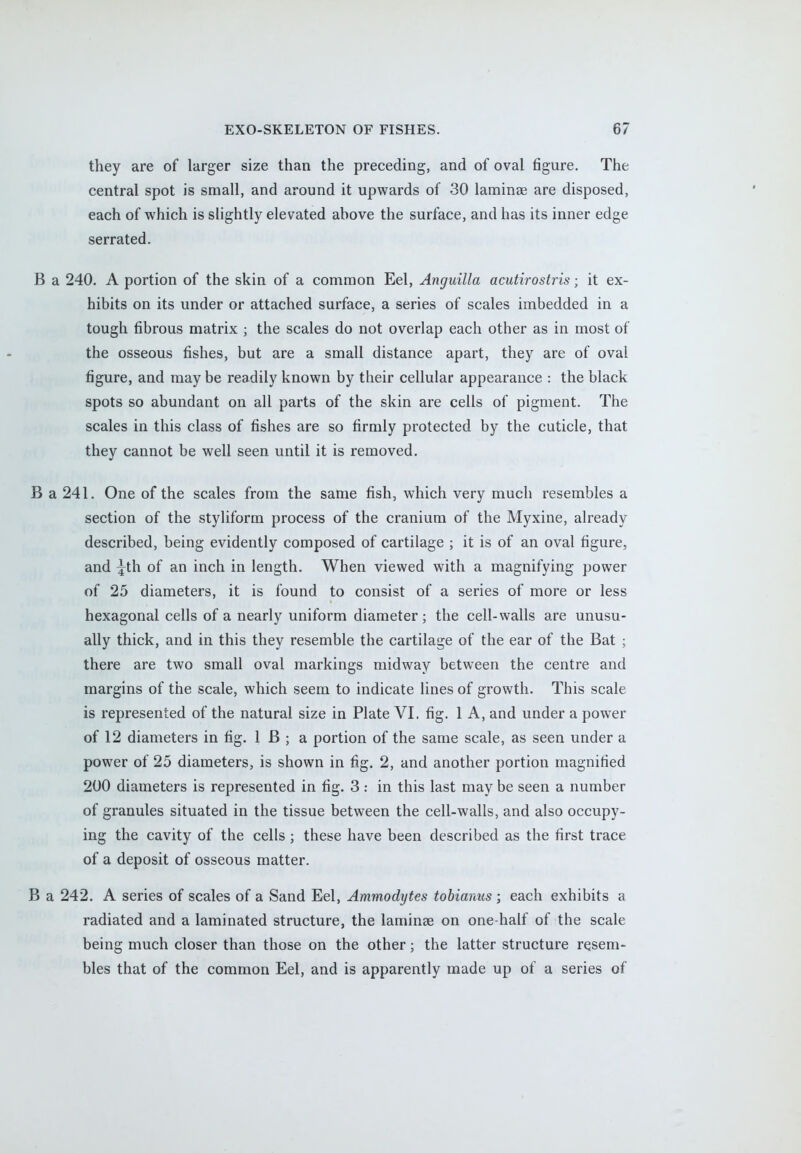 they are of larger size than the preceding, and of oval figure. The central spot is small, and around it upwards of 30 laminae are disposed, each of which is slightly elevated above the surface, and has its inner edge serrated. B a 240. A portion of the skin of a common Eel, Anguilla acutirostris; it ex- hibits on its under or attached surface, a series of scales imbedded in a tough fibrous matrix ; the scales do not overlap each other as in most of the osseous fishes, but are a small distance apart, they are of oval figure, and may be readily known by their cellular appearance : the black spots so abundant on all parts of the skin are cells of pigment. The scales in this class of fishes are so firmly protected by the cuticle, that they cannot be well seen until it is removed. B a 241. One of the scales from the same fish, which very much resembles a section of the styliform process of the cranium of the Myxine, already described, being evidently composed of cartilage ; it is of an oval figure, and ^th of an inch in length. When viewed with a magnifying power of 25 diameters, it is found to consist of a series of more or less hexagonal cells of a nearly uniform diameter; the cell-walls are unusu- ally thick, and in this they resemble the cartilage of the ear of the Bat ; there are two small oval markings midway between the centre and margins of the scale, which seem to indicate lines of growth. This scale is represented of the natural size in Plate VI. fig. 1 A, and under a power of 12 diameters in fig. 1 B ; a portion of the same scale, as seen under a power of 25 diameters, is shown in fig. 2, and another portion magnified 200 diameters is represented in fig. 3: in this last may be seen a number of granules situated in the tissue between the cell-walls, and also occupy- ing the cavity of the cells; these have been described as the first trace of a deposit of osseous matter. B a 242. A series of scales of a Sand Eel, Ammodytes tobianus; each exhibits a radiated and a laminated structure, the laminae on one-half of the scale being much closer than those on the other; the latter structure resem- bles that of the common Eel, and is apparently made up of a series of