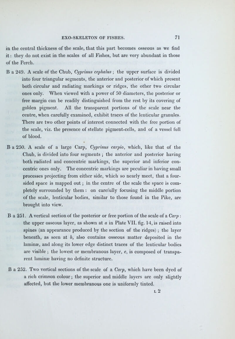 in the central thickness of the scale, that this part becomes osseous as we find it: they do not exist in the scales of all Fishes, but are very abundant in those of the Perch. B a 249. A scale of the Chub, Cyprinus cephalus; the upper surface is divided into four triangular segments, the anterior and posterior of which present both circular and radiating markings or ridges, the other two circular ones only. When viewed with a power of 50 diameters, the posterior or free margin can be readily distinguished from the rest by its covering of golden pigment. All the transparent portions of the scale near the centre, when carefully examined, exhibit traces of the lenticular granules. There are two other points of interest connected with the free portion of the scale, viz. the presence of stellate pigment-cells, and of a vessel full of blood. B a 250. A scale of a large Carp, Cyprinus carpio, which, like that of the Chub, is divided into four segments ; the anterior and posterior having both radiated and concentric markings, the superior and inferior con- centric ones only. The concentric markings are peculiar in having small processes projecting from either side, which so nearly meet, that a four- sided space is mapped out; in the centre of the scale the space is com- pletely surrounded by them: on carefully focusing the middle portion of the scale, lenticular bodies, similar to those found in the Pike, are brought into view. B a 251. A vertical section of the posterior or free portion of the scale of a Carp : the upper osseous layer, as shown at a in Plate VII. fig. 14, is raised into spines (an appearance produced by the section of the ridges) j the layer beneath, as seen at b, also contains osseous matter deposited in the laminae, and along its lower edge distinct traces of the lenticular bodies are visible ; the lowest or membranous layer, c, is composed of transpa- rent laminae having no definite structure. B a 252. Two vertical sections of the scale of a Carp, which have been dyed of a rich crimson colour; the superior and middle layers are only slightly affected, but the lower membranous one is uniformly tinted. l2