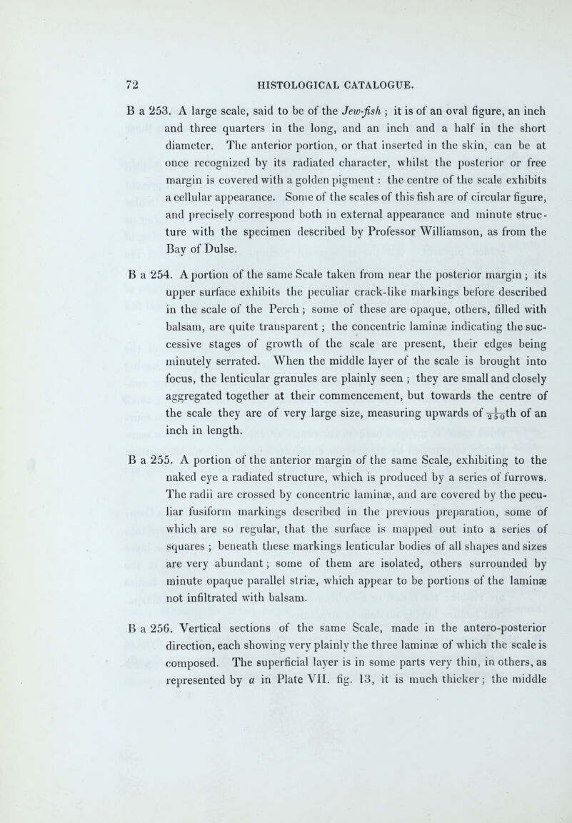 B a 253. A large scale, said to be of the Jew-fish ; it is of an oval figure, an inch and three quarters in the long, and an inch and a half in the short diameter. The anterior portion, or that inserted in the skin, can be at once recognized by its radiated character, whilst the posterior or free margin is covered with a golden pigment : the centre of the scale exhibits a cellular appearance. Some of the scales of this fish are of circular figure, and precisely correspond both in external appearance and minute struc- ture with the specimen described by Professor Williamson, as from the Bay of Dulse. B a 254. A portion of the same Scale taken from near the posterior margin ; its upper surface exhibits the peculiar crack-like markings before described in the scale of the Perch ; some of these are opaque, others, filled with balsam, are quite transparent; the concentric laminae indicating the suc- cessive stages of growth of the scale are present, their edges being minutely serrated. When the middle layer of the scale is brought into focus, the lenticular granules are plainly seen ; they are small and closely aggregated together at their commencement, but towards the centre of the scale they are of very large size, measuring upwards of ^loth of an inch in length. B a 255. A portion of the anterior margin of the same Scale, exhibiting to the naked eye a radiated structure, which is produced by a series of furrows. The radii are crossed by concentric lamina?, and are covered by the pecu- liar fusiform markings described in the previous preparation, some of which are so regular, that the surface is mapped out into a series of squares ; beneath these markings lenticular bodies of all shapes and sizes are very abundant; some of them are isolated, others surrounded by minute opaque parallel striae, which appear to be portions of the laminae not infiltrated with balsam. B a 256. Vertical sections of the same Scale, made in the antero-posterior direction, each showing very plainly the three laminae of which the scale is composed. The superficial layer is in some parts very thin, in others, as represented by a in Plate VII. fig. 13, it is much thicker; the middle