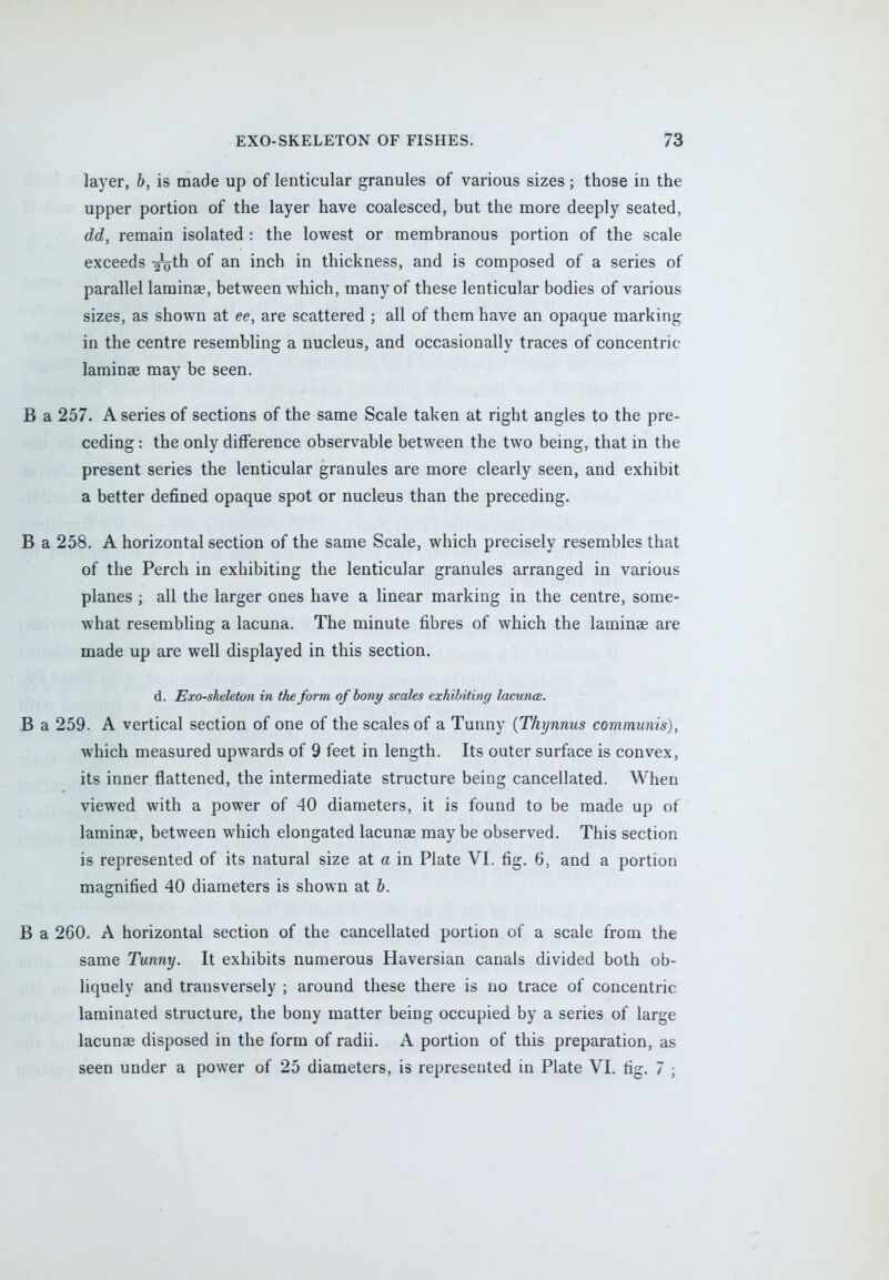 layer, b, is made up of lenticular granules of various sizes; those in the upper portion of the layer have coalesced, but the more deeply seated, dd, remain isolated : the lowest or membranous portion of the scale exceeds -£oth of an inch in thickness, and is composed of a series of parallel lamina?, between which, many of these lenticular bodies of various sizes, as shown at ee, are scattered ; all of them have an opaque marking in the centre resembling a nucleus, and occasionally traces of concentric laminse may be seen. B a 257. A series of sections of the same Scale taken at right angles to the pre- ceding : the only difference observable between the two being, that in the present series the lenticular granules are more clearly seen, and exhibit a better defined opaque spot or nucleus than the preceding. B a 258. A horizontal section of the same Scale, which precisely resembles that of the Perch in exhibiting the lenticular granules arranged in various planes ; all the larger ones have a linear marking in the centre, some- what resembling a lacuna. The minute fibres of which the laminae are made up are well displayed in this section. d. Exo-sheleton in the form of bony scales exhibiting lacunce. B a 259. A vertical section of one of the scales of a Tunny (Thynnus communis), which measured upwards of 9 feet in length. Its outer surface is convex, its inner flattened, the intermediate structure being cancellated. When viewed with a power of 40 diameters, it is found to be made up of lamina?, between which elongated lacunae may be observed. This section is represented of its natural size at a in Plate VI. fig. 6, and a portion magnified 40 diameters is shown at b. B a 260. A horizontal section of the cancellated portion of a scale from the same Tunny. It exhibits numerous Haversian canals divided both ob- liquely and transversely ; around these there is no trace of concentric laminated structure, the bony matter being occupied by a series of large lacunae disposed in the form of radii. A portion of this preparation, as seen under a power of 25 diameters, is represented in Plate VI. fig. 7 ;