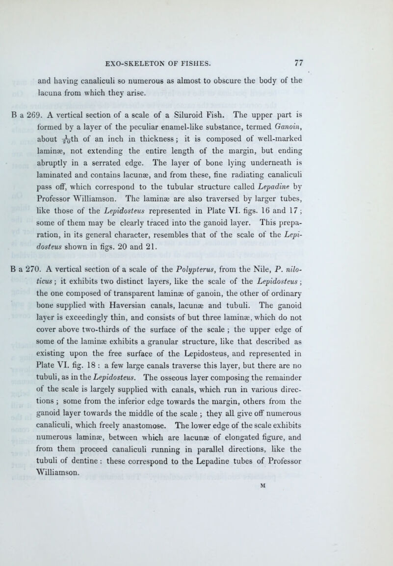and having canaliculi so numerous as almost to obscure the body of the lacuna from which they arise. B a 269. A vertical section of a scale of a Siluroid Fish. The upper part is formed by a layer of the peculiar enamel-like substance, termed Ganoin, about -^th of an inch in thickness; it is composed of well-marked lamina?, not extending the entire length of the margin, but ending abruptly in a serrated edge. The layer of bone lying underneath is laminated and contains lacunae, and from these, fine radiating canaliculi pass off, which correspond to the tubular structure called Lepadine by Professor Williamson. The laminae are also traversed by larger tubes, like those of the Lepidosteus represented in Plate VI. figs. 16 and 17; some of them may be clearly traced into the ganoid layer. This prepa- ration, in its general character, resembles that of the scale of the Lepi- dosteus shown in figs. 20 and 21. B a 270. A vertical section of a scale of the Polypterus, from the Nile, P. nilo- ticus; it exhibits two distinct layers, like the scale of the Lepidosteus; the one composed of transparent laminae of ganoin, the other of ordinary bone supplied with Haversian canals, lacunae and tubuli. The ganoid layer is exceedingly thin, and consists of but three laminae, which do not cover above two-thirds of the surface of the scale ; the upper edge of some of the laminae exhibits a granular structure, like that described as existing upon the free surface of the Lepidosteus, and represented in Plate VI. fig. 18 : a few large canals traverse this layer, but there are no tubuli, as in the Lepidosteus. The osseous layer composing the remainder of the scale is largely supplied with canals, which run in various direc- tions ; some from the inferior edge towards the margin, others from the ganoid layer towards the middle of the scale ; they all give off numerous canaliculi, which freely anastomose. The lower edge of the scale exhibits numerous laminae, between which are lacunae of elongated figure, and from them proceed canaliculi running in parallel directions, like the tubuli of dentine : these correspond to the Lepadine tubes of Professor Williamson. M