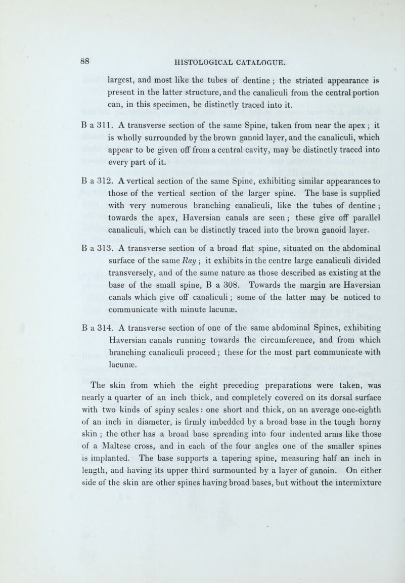 largest, and most like the tubes of dentine ; the striated appearance is present in the latter structure, and the canaliculi from the central portion can, in this specimen, be distinctly traced into it. B a 311. A transverse section of the same Spine, taken from near the apex ; it is wholly surrounded by the brown ganoid layer, and the canaliculi, which appear to be given off from a central cavity, may be distinctly traced into every part of it. B a 312. A vertical section of the same Spine, exhibiting similar appearances to those of the vertical section of the larger spine. The base is supplied with very numerous branching canaliculi, like the tubes of dentine ; towards the apex, Haversian canals are seen; these give off parallel canaliculi, which can be distinctly traced into the brown ganoid layer. B a 313. A transverse section of a broad flat spine, situated on the abdominal surface of the same Ray ; it exhibits in the centre large canaliculi divided transversely, and of the same nature as those described as existing at the base of the small spine, B a 308. Towards the margin are Haversian canals which give off canaliculi; some of the latter may be noticed to communicate with minute lacunae. B a 314. A transverse section of one of the same abdominal Spines, exhibiting Haversian canals running towards the circumference, and from which branching canaliculi proceed ; these for the most part communicate with lacunse. The skin from which the eight preceding preparations were taken, was nearly a quarter of an inch thick, and completely covered on its dorsal surface with two kinds of spiny scales: one short and thick, on an average one-eighth of an inch in diameter, is firmly imbedded by a broad base in the tough horny skin ; the other has a broad base spreading into four indented arms like those of a Maltese cross, and in each of the four angles one of the smaller spines is implanted. The base supports a tapering spine, measuring half an inch in length, and having its upper third surmounted by a layer of ganoin. On either side of the skin are other spines having broad bases, but without the intermixture