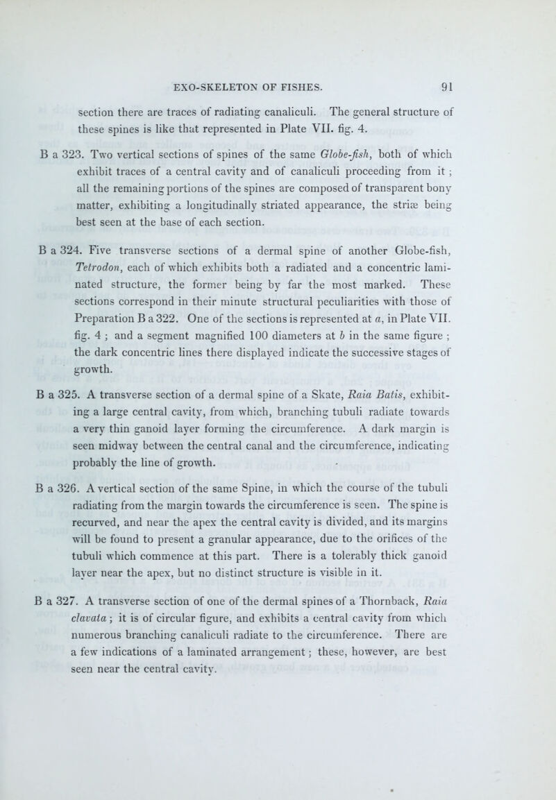 section there are traces of radiating canaliculi. The general structure of these spines is like that represented in Plate VII. fig. 4. B a 323. Two vertical sections of spines of the same Globe-fish, both of which exhibit traces of a central cavity and of canaliculi proceeding from it ; all the remaining portions of the spines are composed of transparent bony matter, exhibiting a longitudinally striated appearance, the strise being best seen at the base of each section. B a 324. Five transverse sections of a dermal spine of another Globe-fish, Tetrodon, each of which exhibits both a radiated and a concentric lami- nated structure, the former being by far the most marked. These sections correspond in their minute structural peculiarities with those of Preparation B a 322. One of the sections is represented at a, in Plate VII. fig. 4 ; and a segment magnified 100 diameters at b in the same figure ; the dark concentric lines there displayed indicate the successive stages of growth. B a 325. A transverse section of a dermal spine of a Skate, Raia Batis, exhibit- ing a large central cavity, from which, branching tubuli radiate towards a very thin ganoid layer forming the circumference. A dark margin is seen midway between the central canal and the circumference, indicating probably the line of growth. B a 326. A vertical section of the same Spine, in which the course of the tubuli radiating from the margin towards the circumference is seen. The spine is recurved, and near the apex the central cavity is divided, and its margins will be found to present a granular appearance, due to the orifices of the tubuli which commence at this part. There is a tolerably thick ganoid layer near the apex, but no distinct structure is visible in it. B a 327. A transverse section of one of the dermal spines of a Thornback, Raia clavaia ; it is of circular figure, and exhibits a central cavity from which numerous branching canaliculi radiate to the circumference. There are a few indications of a laminated arrangement; these, however, are best seen near the central cavity.