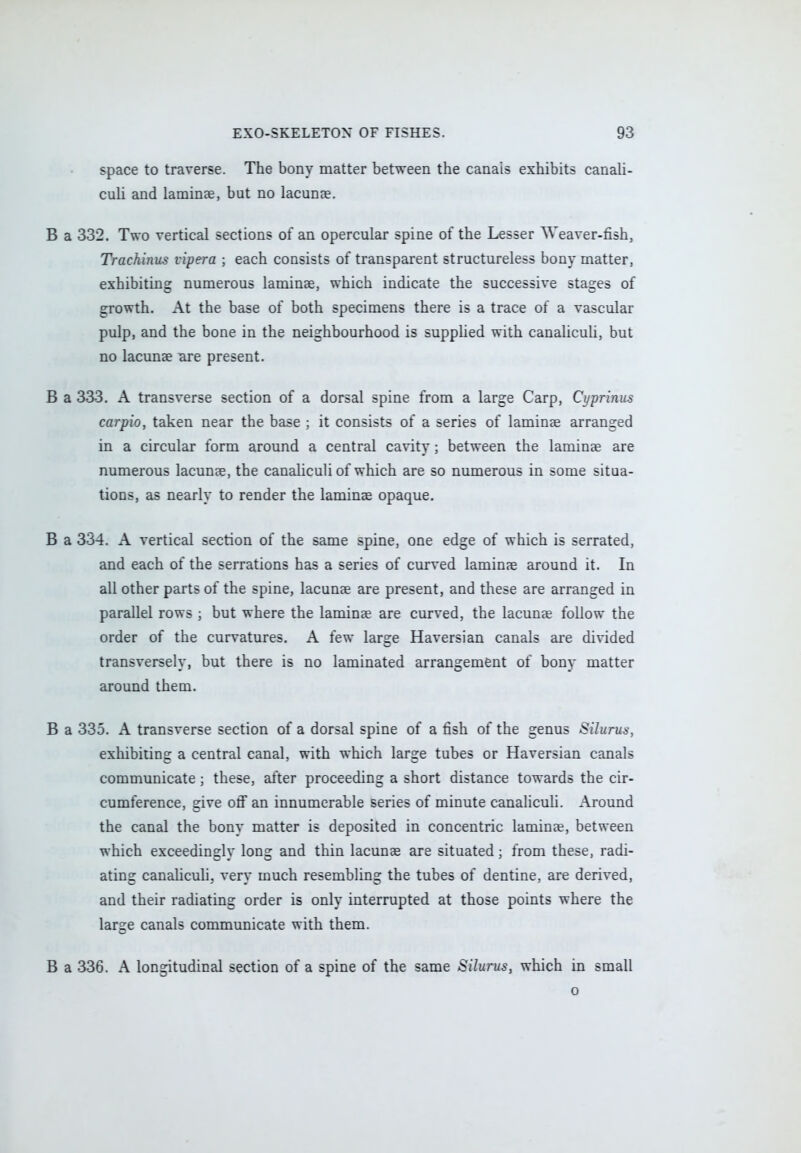 space to traverse. The bony matter between the canals exhibits canali- culi and lamina?, but no lacunas. B a 332. Two vertical sections of an opercular spine of the Lesser Weaver-fish, Trachinus vipera ; each consists of transparent structureless bony matter, exhibiting numerous laminae, which indicate the successive stages of growth. At the base of both specimens there is a trace of a vascular pulp, and the bone in the neighbourhood is supplied with canaliculi, but no lacunae are present. B a 333. A transverse section of a dorsal spine from a large Carp, Cyprinus carpio, taken near the base ; it consists of a series of laminae arranged in a circular form around a central cavity; between the laminae are numerous lacunae, the canaliculi of which are so numerous in some situa- tions, as nearly to render the laminae opaque. B a 334. A vertical section of the same spine, one edge of which is serrated, and each of the serrations has a series of curved laminae around it. In all other parts of the spine, lacunae are present, and these are arranged in parallel rows ; but where the laminae are curved, the lacunae follow the order of the curvatures. A few large Haversian canals are divided transversely, but there is no laminated arrangement of bony matter around them. B a 335. A transverse section of a dorsal spine of a fish of the genus Silurun, exhibiting a central canal, with which large tubes or Haversian canals communicate ; these, alter proceeding a short distance towards the cir- cumference, give off an innumerable series of minute canaliculi. Around the canal the bony matter is deposited in concentric laminae, between which exceedingly long and thin lacunae are situated; from these, radi- ating canaliculi, very much resembling the tubes of dentine, are derived, and their radiating order is only interrupted at those points where the large canals communicate with them. B a 336. A longitudinal section of a spine of the same Silurus, which in small o