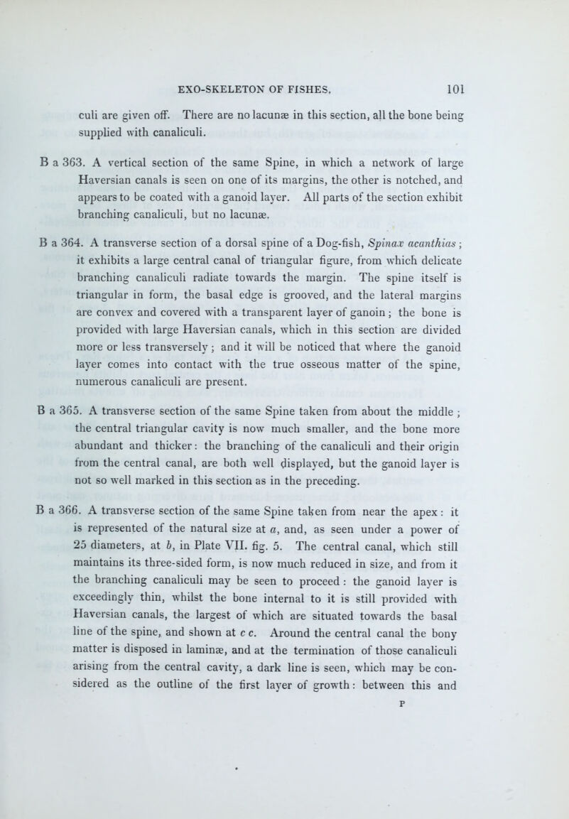 culi are given off. There are no lacunas in this section, all the bone being supplied with canaliculi. B a 363. A vertical section of the same Spine, in which a network of large Haversian canals is seen on one of its margins, the other is notched, and appears to be coated with a ganoid layer. All parts of the section exhibit branching canaliculi, but no lacunae. B a 364. A transverse section of a dorsal spine of a Dog-fish, Spinax acanthias; it exhibits a large central canal of triangular figure, from which delicate branching canaliculi radiate towards the margin. The spine itself is triangular in form, the basal edge is grooved, and the lateral margins are convex and covered with a transparent layer of ganoin ; the bone is provided with large Haversian canals, which in this section are divided more or less transversely; and it will be noticed that where the ganoid layer comes into contact with the true osseous matter of the spine, numerous canaliculi are present. B a 365. A transverse section of the same Spine taken from about the middle ; the central triangular cavity is now much smaller, and the bone more abundant and thicker: the branching of the canaliculi and their origin from the central canal, are both well displayed, but the ganoid layer is not so well marked in this section as in the preceding. B a 366. A transverse section of the same Spine taken from near the apex : it is represented of the natural size at a, and, as seen under a power of 25 diameters, at b, in Plate VII. fig. 5. The central canal, which still maintains its three-sided form, is now much reduced in size, and from it the branching canaliculi may be seen to proceed : the ganoid layer is exceedingly thin, whilst the bone internal to it is still provided with Haversian canals, the largest of which are situated towards the basal line of the spine, and shown at c c. Around the central canal the bony matter is disposed in laminae, and at the termination of those canaliculi arising from the central cavity, a dark line is seen, which may be con- sidered as the outline of the first layer of growth: between this and p