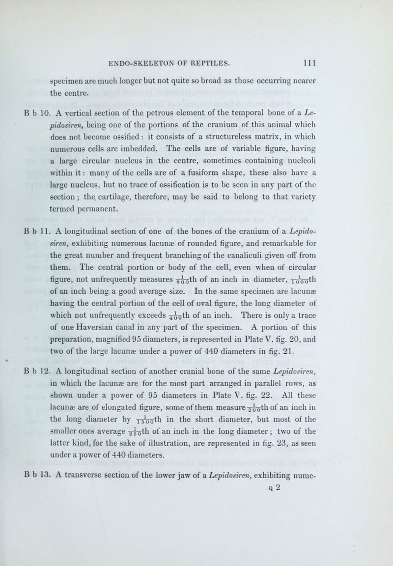specimen are much longer but not quite so broad as those occurring nearer the centre. B b 10. A vertical section of the petrous element of the temporal bone of a Le- pidosiren, being one of the portions of the cranium of this animal which does not become ossified: it consists of a structureless matrix, in which numerous cells are imbedded. The cells are of variable figure, having a large circular nucleus in the centre, sometimes containing nucleoli within it: many of the cells are of a fusiform shape, these also have a large nucleus, but no trace of ossification is to be seen in any part of the section; the cartilage, therefore, may be said to belong to that variety termed permanent. B b 11. A longitudinal section of one of the bones of the cranium of a Lepido- siren, exhibiting numerous lacunae of rounded figure, and remarkable for the great number and frequent branching of the canaliculi given off from them. The central portion or body of the cell, even when of circular figure, not unfrequently measures Tooth of an inch in diameter, ToVoth of an inch being a good average size. In the same specimen are lacunas having the central portion of the cell of oval figure, the long diameter of which not unfrequently exceeds ^g-oth of an inch. There is only a trace of one Haversian canal in any part of the specimen. A portion of this preparation, magnified 95 diameters, is represented in Plate V. fig. 20, and two of the large lacunae under a power of 440 diameters in fig. 21. B b 12. A longitudinal section of another cranial bone of the same Lepidosiren, in which the lacunae are for the most part arranged in parallel rows, as shown under a power of 95 diameters in Plate V. fig. 22. All these lacunae are of elongated figure, some of them measure xs^th of an inch in the long diameter by x 5luoth in the short diameter, but most of the smaller ones average -^oth of an inch in the long diameter ; two of the latter kind, for the sake of illustration, are represented in fig. 23, as seen under a power of 440 diameters. B b 13. A transverse section of the lower jaw of a Lepidosiren, exhibiting nume- Q2