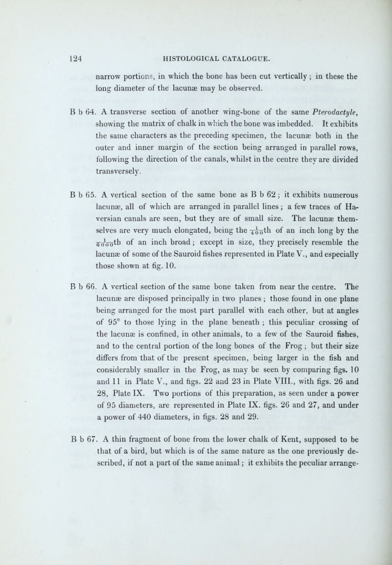 narrow portions, in which the bone has been cut vertically; in these the long diameter of the lacunae may be observed. B b 64. A transverse section of another wing-bone of the same Pterodactyle, showing the matrix of chalk in which the bone was imbedded. It exhibits the same characters as the preceding specimen, the lacunae both in the outer and inner margin of the section being arranged in parallel rows, following the direction of the canals, whilst in the centre they are divided transversely. B b 65. A vertical section of the same bone as B b 62 ; it exhibits numerous lacunas, all of which are arranged in parallel lines; a few traces of Ha- versian canals are seen, but they are of small size. The lacunae them- selves are very much elongated, being the ^roth of an inch long by the 6Wotn °f an incn broad; except in size, they precisely resemble the lacunae of some of the Sauroid fishes represented in Plate V., and especially those shown at fig. 10. B b 66. A vertical section of the same bone taken from near the centre. The lacunae are disposed principally in two planes ; those found in one plane being arranged for the most part parallel with each other, but at angles of 95° to those lying in the plane beneath ; this peculiar crossing of the lacunae is confined, in other animals, to a few of the Sauroid fishes, and to the central portion of the long bones of the Frog ; but their size differs from that of the present specimen, being larger in the fish and considerably smaller in the Frog, as may be seen by comparing figs. 10 and 11 in Plate V., and figs. 22 and 23 in Plate VIII., with figs. 26 and 28, Plate IX. Two portions of this preparation, as seen under a power of 95 diameters, are represented in Plate IX. figs. 26 and 27, and under a power of 440 diameters, in figs. 28 and 29. B b 67. A thin fragment of bone from the lower chalk of Kent, supposed to be that of a bird, but which is of the same nature as the one previously de- scribed, if not a part of the same animal; it exhibits the peculiar arrange-