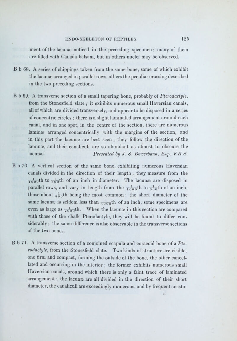 ment of the lacunae noticed in the preceding specimen; many of them are filled with Canada balsam, but in others nuclei may be observed. B b 68. A series of chippings taken from the same bone, some of which exhibit the lacunae arranged in parallel rows, others the peculiar crossing described in the two preceding sections. B b 69. A transverse section of a small tapering bone, probably of Pterodactyle, from the Stonesfleld slate ; it exhibits numerous small Haversian canals, all of which are divided transversely, and appear to be disposed in a series of concentric circles ; there is a slight laminated arrangement around each canal, and in one spot, in the centre of the section, there are numerous laminae arranged concentrically with the margins of the section, and in this part the lacunae are best seen ; they follow the direction of the laminae, and their canaliculi are so abundant as almost to obscure the lacunae. Presented by J. S. Boicerbank, Esq., F.R.8. B b 70. A vertical section of the same bone, exhibiting numerous Haversian canals divided in the direction of their length ; they measure from the 1600th to gijoth of an inch in diameter. The lacunae are disposed in parallel rows, and vary in length from the xoooth to 6TToth °f an inch, those about slhjth being the most common : the short diameter of the same lacunae is seldom less than ^-0Votn °f an inch, some specimens are even as large as ^woth. When the lacunae in this section are compared with those of the chalk Pterodactyle, they will be found to differ con- siderably ; the same difference is also observable in the transverse sections of the two bones. B b 71. A transverse section of a conjoined scapula and coracoid bone of a Pte- rodactyle, from the Stonesfield slate. Two kinds of structure are visible, one firm and compact, forming the outside of the bone, the other cancel- lated and occurring in the interior ; the former exhibits numerous small Haversian canals, around which there is only a faint trace of laminated arrangement; the lacunae are all divided in the direction of their short diameter, the canaliculi are exceedingly numerous, and by frequent anasto- s