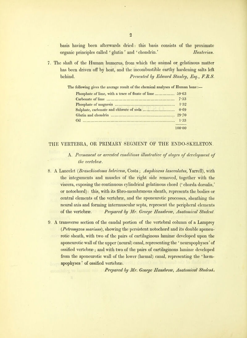 basis having been afterwards dried: this basis consists of the proximate organic principles called £ glutin ' and ' chondrin.' Hunterian. 7. The shaft of the Human humerus, from which the animal or gelatinous matter has been driven off by heat, and the incombustible earthy hardening salts left behind. Presented by Edward Stanley, Esq., F.B.S. The following gives the average result of the chemical analyses of Human bone :— Phosphate of lime, with a trace of fluate of lime 59*63 Carbonate of lime 7'33 Phosphate of magnesia 1*32 Sulphate, carbonate and chlorate of soda 0'69 Glutin and chondrin 29 70 Oil 133 100-00 THE VERTEBRA, OR PRIMARY SEGMENT OF THE ENDO-SKELETON. A. Permanent or arrested conditions illustrative of stages of development of the vertebra. 8. A Lancelet (Branc/iiostoma lubricum, Costa; Amphioxus lanceolatus, Yarrell), with the integuments and muscles of the right side removed, together with the viscera, exposing the continuous cylindrical gelatinous chord (' chorda dorsalis/ or notochord): this, with its fibro-membranous sheath, represents the bodies or central elements of the vertebrae, and the aponeurotic processes, sheathing the neural axis and forming intermuscular septa, represent the peripheral elements of the vertebra?. Prepared by Mr. George Hansbrow, Anatomical Student. 9. A transverse section of the caudal portion of the vertebral column of a Lamprey {Petromyzon marinus), showing the persistent notochord and its double aponeu- rotic sheath, with two of the pairs of cartilaginous laminae developed upon the aponeurotic wall of the upper (neural) canal, representing the ' neurapophyses' of ossified vertebrae ; and with two of the pairs of cartilaginous laminae developed from the aponeurotic wall of the lower (haemal) canal, representing the ' haem- apophyses ' of ossified vertebrae. Prepared by Mr. George Hansbrow, Anatomical Student.