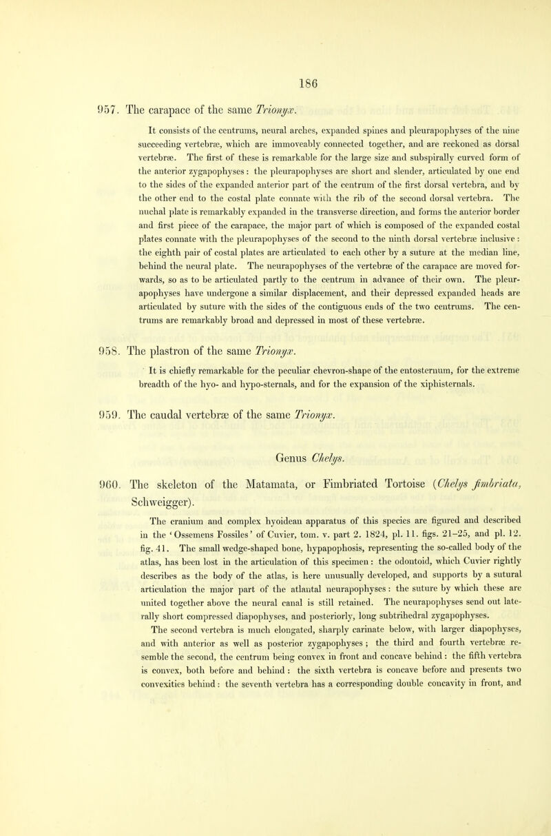 957. The carapace of the same Trionyx. It consists of the centrums, neural arches, expanded spines and pleurapophyses of the nine succeeding vertebrae, which are immoveably connected together, and are reckoned as dorsal vertebrae. The first of these is remarkable for the large size and subspirally curved form of the anterior zygapophyses : the pleurapophyses are short and slender, articulated by one end to the sides of the expanded anterior part of the centrum of the first dorsal vertebra, and by the other end to the costal plate connate with the rib of the second dorsal vertebra. The nuchal plate is remarkably expanded in the transverse direction, and forms the anterior border and first piece of the carapace, the major part of which is composed of the expanded costal plates connate with the pleurapophyses of the second to the ninth dorsal vertebrae inclusive: the eighth pair of costal plates are articulated to each other by a suture at the median line, behind the neural plate. The neurapophyses of the vertebrae of the carapace are moved for- wards, so as to be articulated partly to the centrum in advance of their own. The pleur- apophyses have undergone a similar displacement, and their depressed expanded heads are articulated by suture with the sides of the contiguous ends of the two centrums. The cen- trums are remarkably broad and depressed in most of these vertebrae. 958. The plastron of the same Trionyx. It is chiefly remarkable for the peculiar chevron-shape of the entosternum, for the extreme breadth of the hyo- and hypo-sternals, and for the expansion of the xiphisternals. 959. The caudal vertebras of the same Trionyx. Genus Chelys. 960. The skeleton of the Matamata, or Fimbriated Tortoise {Chelys fimbriata, Schweigger). The cranium and complex hyoidean apparatus of this species are figured and described in the 'Ossemens Fossiles' of Cuvier, torn. v. part 2. 1824, pi. 11. figs. 21-25, and pi. 12. fig. 41. The small wedge-shaped bone, hypapophosis, representing the so-called body of the atlas, has been lost in the articulation of this specimen: the odontoid, which Cuvier rightly describes as the body of the atlas, is here unusually developed, and supports by a sutural articulation the major part of the atlantal neurapophyses : the suture by which these are united together above the neural canal is still retained. The neurapophyses send out late- rally short compressed diapophyses, and posteriorly, long subtrihedral zygapophyses. The second vertebra is much elongated, sharply carinate below, with larger diapophyses, and with anterior as well as posterior zygapophyses ; the third and fourth vertebrae re- semble the second, the centrum being convex in front and concave behind : the fifth vertebra is convex, both before and behind : the sixth vertebra is concave before and presents two convexities behind: the seventh vertebra has a corresponding double concavity in front, and