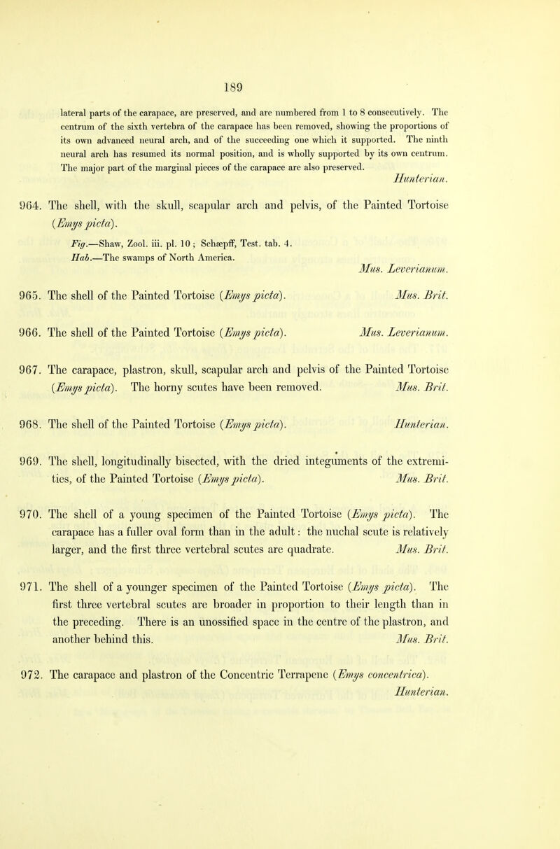 lateral parts of the carapace, are preserved, and are numbered from 1 to 8 consecutively. The centrum of the sixth vertebra of the carapace has been removed, showing the proportions of its own advanced neural arch, and of the succeeding one which it supported. The ninth neural arch has resumed its normal position, and is wholly supported by its own centrum. The major part of the marginal pieces of the carapace are also preserved. Hunterian. 964. The shell, with the skull, scapular arch and pelvis, of the Painted Tortoise {Emys picta). Fig.—Shaw, Zool. iii. pi. 10; Schaepff, Test. tab. 4. Hab.—The swamps of North America. Mm. Leverianum. 965. The shell of the Painted Tortoise {Emyspicta). Mm. Brit. 966. The shell of the Painted Tortoise {Emyspicta). Mm. Leverianum. 967. The carapace, plastron, skull, scapular arch and pelvis of the Painted Tortoise {Emyspicta). The horny scutes have been removed. Mm. Brit. 968. The shell of the Painted Tortoise {Emyspicta). Hunterian. 969. The shell, longitudinally bisected, with the dried integuments of the extremi- ties, of the Painted Tortoise {Emyspicta). Mm. Brit. 970. The shell of a young specimen of the Painted Tortoise {Emys picta). The carapace has a fuller oval form than in the adult: the nuchal scute is relatively larger, and the first three vertebral scutes are quadrate. Mm. Brit. 971. The shell of a younger specimen of the Painted Tortoise {Emys picta). The first three vertebral scutes are broader in proportion to their length than in the preceding. There is an unossified space in the centre of the plastron, and another behind this. Mm. Brit. 972. The carapace and plastron of the Concentric Terrapene {Emys concentrica). Hunterian.