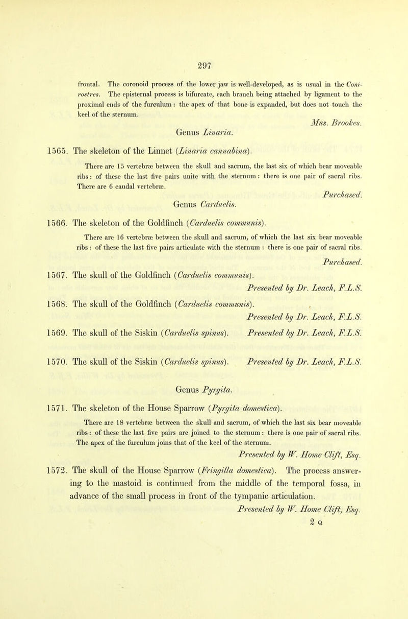 frontal. The coronoid process of the lower jaw is well-developed, as is usual in the Coni- rostres. The episternal process is bifurcate, each branch being attached by ligament to the proximal ends of the furculum : the apex of that bone is expanded, but does not touch the keel of the sternum. Mus. Brookes. Genus Linaria. 1565. The skeleton of the Linnet {Linaria cannabina). There are 15 vertebrae between the skull and sacrum, the last six of which bear moveable ribs: of these the last five pairs unite with the sternum: there is one pair of sacral ribs. There are 6 caudal vertebrae. Purchased. Genus Carduelis. 1566. The skeleton of the Goldfinch {Carduelis communis). There are 16 vertebrae between the skull and sacrum, of which the last six bear moveable ribs : of these the last five pairs articulate with the sternum : there is one pair of sacral ribs. Purchased. 1567. The skull of the Goldfinch {Carduelis communis). Presented by Dr. Leach, F.L.S. 1568. The skull of the Goldfinch {Carduelis communis). Presented by Dr. Leach, F.L.S. 1569. The skull of the Siskin {Carduelis spinus). Presented by Dr. Leach, F.L.S. 1570. The skull of the Siskin {Carduelis spinus). Presented by Dr. Leach, F.L.S. Genus Pyrgita. 1571. The skeleton of the House Sparrow {Pyrgita domestica). There are 18 vertebrae between the skull and sacrum, of which the last six bear moveable ribs : of these the last five pairs are joined to the sternum : there is one pair of sacral ribs. The apex of the furculum joins that of the keel of the sternum. Presented by W. Home Clift, Esq. 1572. The skull of the House Sparrow {Fringilla domestica). The process answer- ing to the mastoid is continued from the middle of the temporal fossa, in advance of the small process in front of the tympanic articulation. Presented by W. Home Clift, Esq. 2 Q