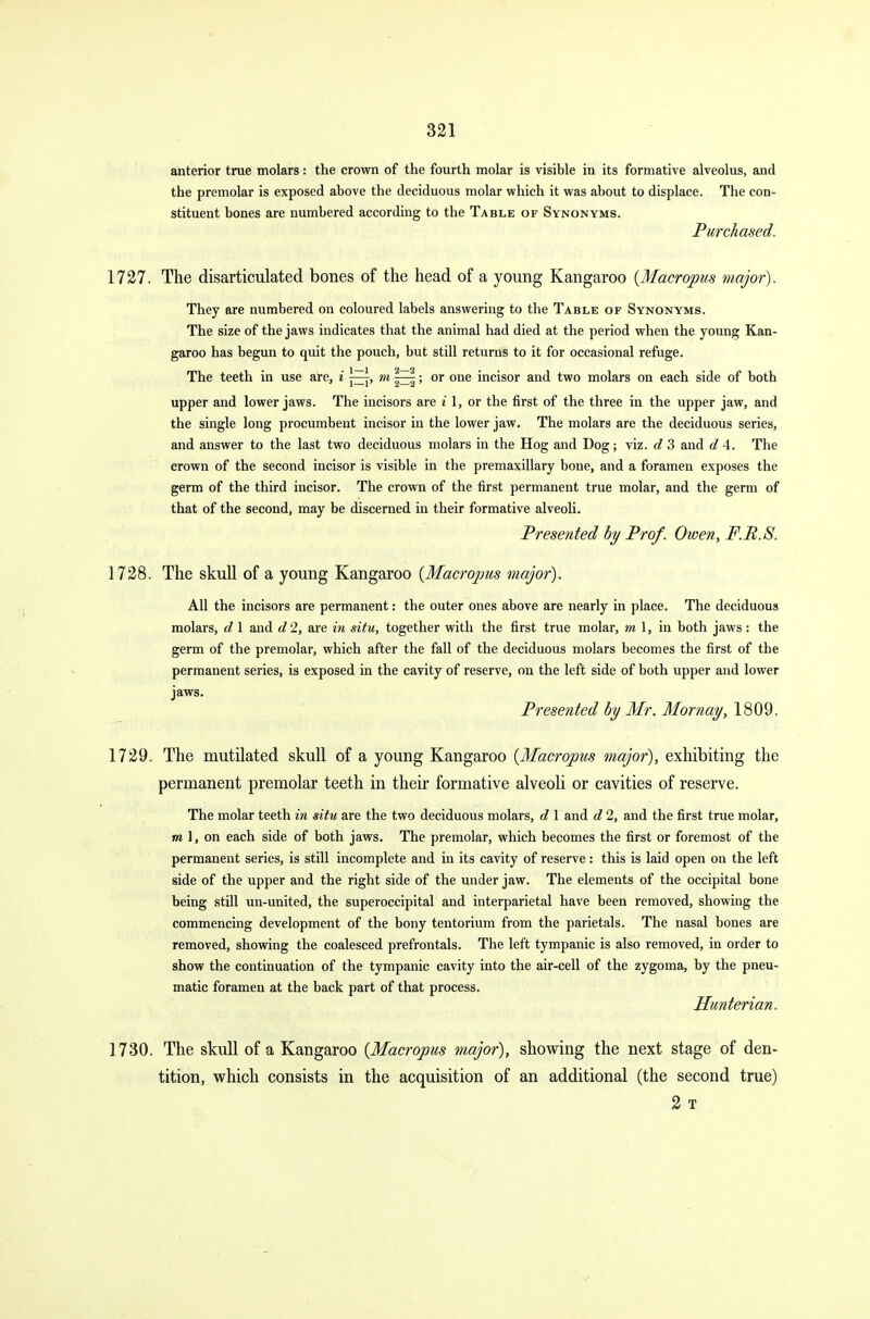 anterior true molars: the crown of the fourth molar is visible in its formative alveolus, and the premolar is exposed above the deciduous molar which it was about to displace. The con- stituent bones are numbered according to the Table of Synonyms. Purchased. 1727. The disarticulated bones of the head of a young Kangaroo {Macropus major). They are numbered on coloured labels answering to the Table of Synonyms. The size of the jaws indicates that the animal had died at the period when the young Kan- garoo has begun to quit the pouch, but still returns to it for occasional refuge. The teeth in use are, i r^r, m ; or one incisor and two molars on each side of both upper and lower jaws. The incisors are i 1, or the first of the three in the upper jaw, and the single long procumbent incisor in the lower jaw. The molars are the deciduous series, and answer to the last two deciduous molars in the Hog and Dog; viz. d 3 and d 4. The crown of the second incisor is visible in the premaxillary bone, and a foramen exposes the germ of the third incisor. The crown of the first permanent true molar, and the germ of that of the second, may be discerned in their formative alveoli. Presented by Prof. Owen, F.R.S. 1728. The skull of a young Kangaroo {Macropus major). All the incisors are permanent: the outer ones above are nearly in place. The deciduous molars, d 1 and d 2, are in situ, together with the first true molar, m 1, iu both jaws: the germ of the premolar, which after the fall of the deciduous molars becomes the first of the permanent series, is exposed in the cavity of reserve, on the left side of both upper and lower jaws. Presented by Mr. Mornay, 1809. 1729. The mutilated skull of a young Kangaroo {Macropus major), exhibiting the permanent premolar teeth in their formative alveoli or cavities of reserve. The molar teeth in situ are the two deciduous molars, d 1 and d 2, and the first true molar, m 1, on each side of both jaws. The premolar, which becomes the first or foremost of the permanent series, is still incomplete and in its cavity of reserve: this is laid open on the left side of the upper and the right side of the under jaw. The elements of the occipital bone being still un-united, the superoccipital and interparietal have been removed, showing the commencing development of the bony tentorium from the parietals. The nasal bones are removed, showing the coalesced prefrontals. The left tympanic is also removed, in order to show the continuation of the tympanic cavity into the air-cell of the zygoma, by the pneu- matic foramen at the back part of that process. Hunterian. 1730. The skull of a Kangaroo {Macropus major), showing the next stage of den- tition, which consists in the acquisition of an additional (the second true) 2 T