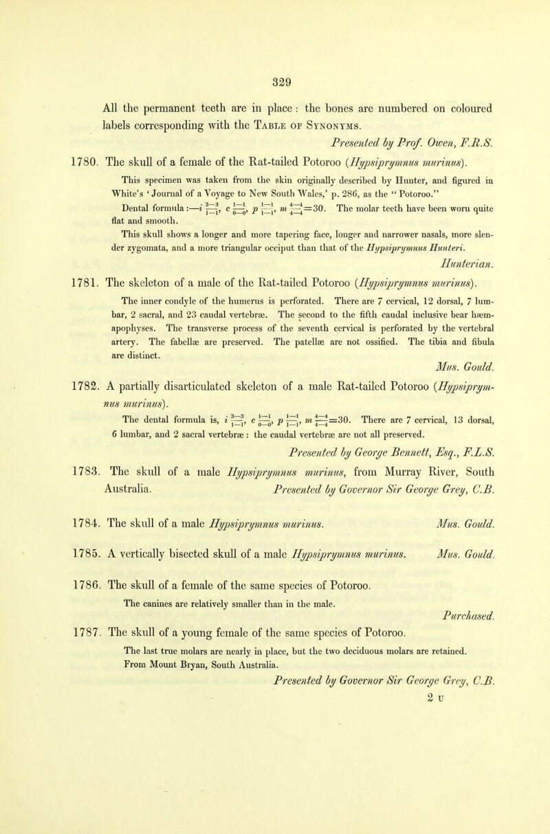 All the permanent teeth are in place : the bones are numbered on coloured labels corresponding with the Table of Synonyms. Presented by Br of. Owen, F.R.S. 1780. The skull of a female of the Rat-tailed Potoroo {Hypsiprymnus murinus). This specimen was taken from the skin originally described by Hunter, and figured in White's ' Journal of a Voyage to New South Wales,' p. 286, as the  Potoroo. Dental formula :—i c p m ~Ei = 30. The molar teeth have been worn quite flat and smooth. This skull shows a longer and more tapering face, longer and narrower nasals, more slen- der zygomata, aud a more triangular occiput than that of the Hypsiprymnus Hunteri. Hunterian. 1781. The skeleton of a male of the Rat-tailed Potoroo {Hypsiprymnus murinus). The inner condyle of the humerus is perforated. There are 7 cervical, 12 dorsal, 7 lum- bar, 2 sacral, and 23 caudal vertebrae. The second to the fifth caudal inclusive bear haem- apophyses. The transverse process of the seventh cervical is perforated by the vertebral artery. The fabellae are preserved. The patellae are not ossified. The tibia and fibula are distinct. Mus. Gould. 1782. A partially disarticulated skeleton of a male Rat-tailed Potoroo [Hypsiprym- nus murinus}. The dental formula is, i 7—?, c p^,, jk;—r=30. There are 7 cervical, 13 dorsal, 1—1 0—0 -* 1—1 4—4 ' 6 lumbar, and 2 sacral vertebrae : the caudal vertebrae are not all preserved. Presented by George Bennett, Esq., F.L.S. 1783. The skull of a male Hypsiprymnus murinus, from Murray River, South Australia. Presented by Governor Sir George Grey, C.B. 1784. The skull of a male Hypsiprymnus murinus. Mus. Gould. 1785. A vertically bisected skull of a male Hypsiprymnus murinus. Mus. Gould. 1786. The skull of a female of the same species of Potoroo. The canines are relatively smaller than in the male. Purchased. 1787. The skull of a young female of the same species of Potoroo. The last true molars are nearly in place, but the two deciduous molars are retained. From Mount Bryan, South Australia. Presented by Governor Sir George Grey, C.B. 2 u