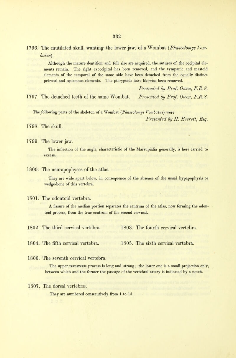1796. The mutilated skull, wanting the lower jaw, of a Wombat (Phascolomys Vom- batus). Although the mature dentition and full size are acquired, the sutures of the occipital ele- ments remain. The right exoccipital has been removed, and the tympanic and mastoid elements of the temporal of the same side have been detached from the equally distinct petrosal and squamous elements. The pterygoids have likewise been removed. Presented by Prof. Owen, P.U.S. 1797. The detached teeth of the same Wombat Presented by Prof. Owen, F.P.S. The^following parts of the skeleton of a Wombat (Phascolomys Vombatus) were Presented by H. Everett, Esq. 1798. The skull. 1799. The lower jaw. The inflection of the angle, characteristic of the Marsupialia generally, is here carried to excess. 1800. The neurapophyses of the atlas. They are wide apart below, in consequence of the absence of the usual hypapophysis or wedge-bone of this vertebra. 1801. The odontoid vertebra. A fissure of the median portion separates the centrum of the atlas, now forming the odon- toid process, from the true centrum of the second cervical. 1802. The third cervical vertebra. 1803. The fourth cervical vertebra. 1804. The fifth cervical vertebra. 1805. The sixth cervical vertebra. 1806. The seventh cervical vertebra. The upper transverse process is long and strong; the lower one is a small projection only, between which and the former the passage of the vertebral artery is indicated by a notch. 1807. The dorsal vertebrae. They are numbered consecutively from 1 to 15.