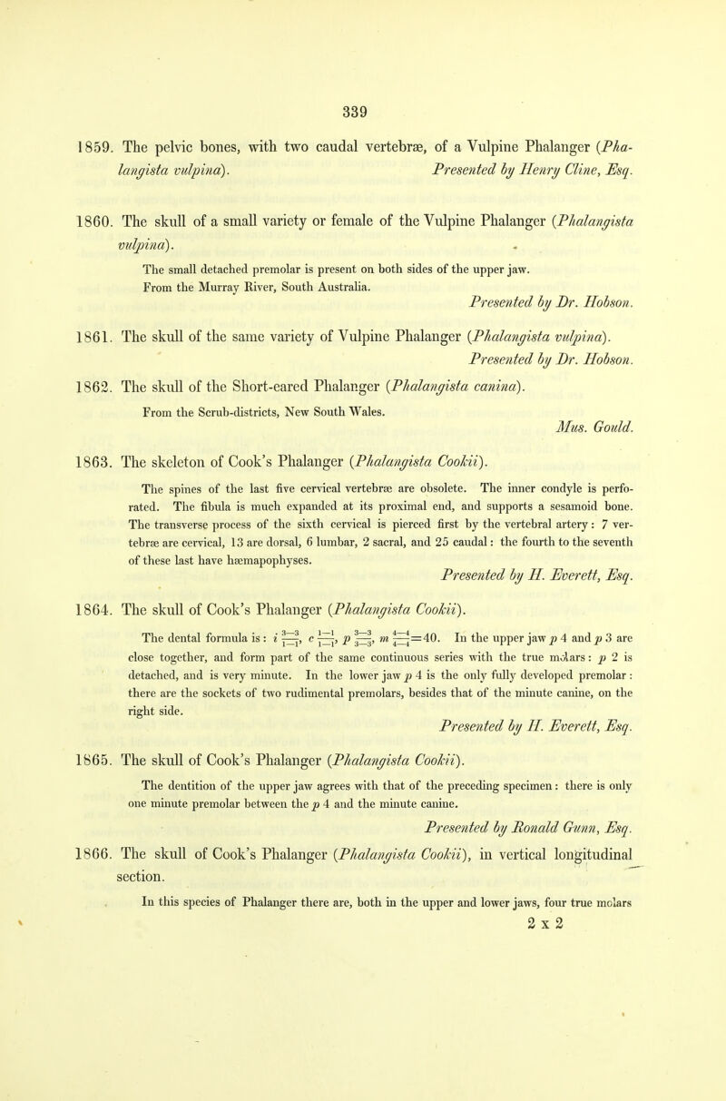 1859. The pelvic bones, with two caudal vertebrae, of a Vulpine Phalanger {Pha- langista vulpind). Presented by Henry Cline, Esq. 1860. The skull of a small variety or female of the Vulpine Phalanger {Phalangista vulpind). The small detached premolar is present on hoth sides of the upper jaw. From the Murray River, South Australia. Presented by Dr. Hobson. 1861. The skull of the same variety of Vulpine Phalanger {Phalangista vulpind). Presented by Br. Hobson. 1862. The skull of the Short-eared Phalanger {Phalangista canind). From the Scruh-districts, New South Wales. Mus. Goidd. 1863. The skeleton of Cook's Phalanger {Phalangista Cookii). The spines of the last five cervical vertebrae are obsolete. The inner condyle is perfo- rated. The fibula is much expanded at its proximal end, and supports a sesamoid bone. The transverse process of the sixth cervical is pierced first by the vertebral artery: 7 ver- tebrae are cervical, 13 are dorsal, 6 lumbar, 2 sacral, and 25 caudal: the fourth to the seventh of these last have haemapophyses. Presented by H. Everett, Esq. 1864. The skull of Cook's Phalanger {Phalangista Cookii). The dental formula is : i c j^, p m ^=40. In the upper jaw p 4 and p 3 are close together, and form part of the same continuous series with the true molars: p 2 is detached, and is very minute. In the lower jaw p 4 is the only fully developed premolar : there are the sockets of two rudimental premolars, besides that of the minute canine, on the right side. Presented by II. Everett, Esq. 1865. The skull of Cook's Phalanger {Phalangista Cookii). The dentition of the upper jaw agrees with that of the preceding specimen: there is only one minute premolar between the p 4 and the minute canine. Presented by Ronald Gum, Esq. 1866. The skull of Cook's Phalanger {Phalangista Cookii), in vertical longitudinal section. In this species of Phalanger there are, both in the upper and lower jaws, four true molars 2x2
