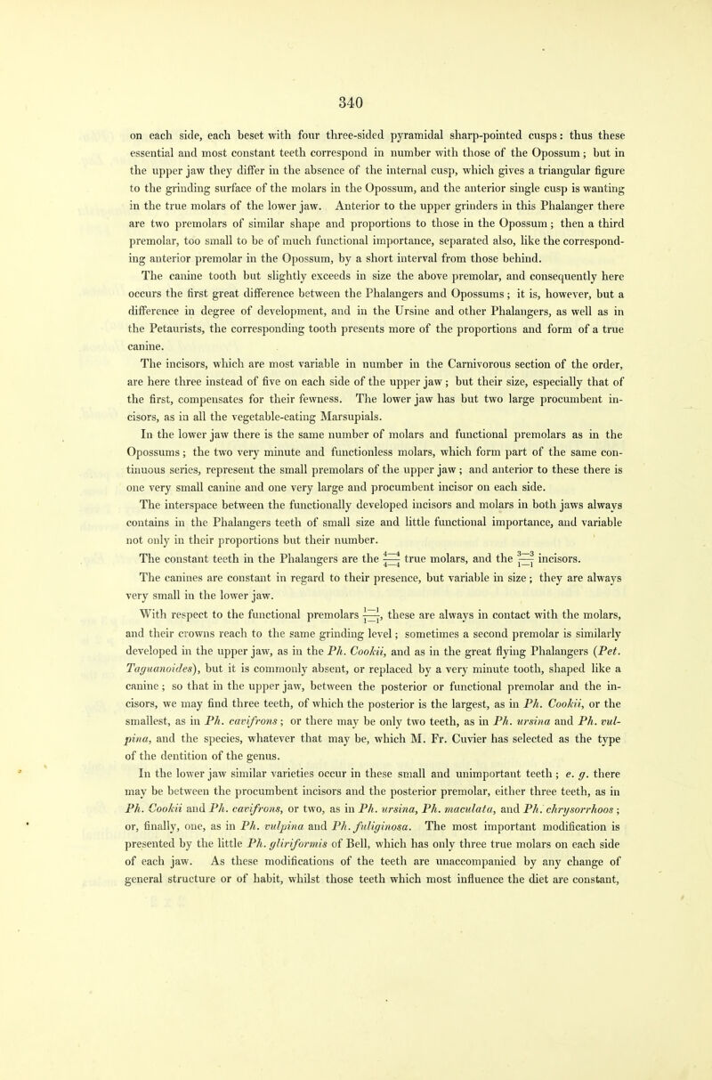 on each side, each heset with four three-sided pyramidal sharp-pointed cusps: thus these essential and most constant teeth correspond in number with those of the Opossum ; but in the upper jaw they differ in the absence of the internal cusp, which gives a triangular figure to the grinding surface of the molars in the Opossum, and the anterior single cusp is wanting in the true molars of the lower jaw. Anterior to the upper grinders in this Phalanger there are two premolars of similar shape and proportions to those in the Opossum; then a third premolar, too small to be of much functional importance, separated also, like the correspond- ing anterior premolar in the Opossum, by a short interval from those behind. The canine tooth but slightly exceeds in size the above premolar, and consequently here occurs the first great difference between the Phalangers and Opossums; it is, however, but a difference in degree of development, and in the Ursine and other Phalangers, as well as in the Petaurists, the corresponding tooth presents more of the proportions and form of a true canine. The incisors, which are most variable in number in the Carnivorous section of the order, are here three instead of five on each side of the upper jaw ; but their size, especially that of the first, compensates for their fewness. The lower jaw has but two large procumbent in- cisors, as in all the vegetable-eating Marsupials. In the lower jaw there is the same number of molars and functional premolars as in the Opossums; the two very minute and functionless molars, which form part of the same con- tinuous series, represent the small premolars of the upper jaw ; and anterior to these there is one very small canine and one very large and procumbent incisor on each side. The interspace between the functionally developed incisors and molars in both jaws always contains in the Phalangers teeth of small size and little functional importance, and variable not only in their proportions but their number. The constant teeth in the Phalangers are the true molars, and the fcj incisors. The canines are constant in regard to their presence, but variable in size ; they are always very small in the lower jaw. With respect to the functional premolars j~, these are always in contact with the molars, and their crowns reach to the same grinding level; sometimes a second premolar is similarly developed in the upper jaw, as in the Ph. Coo/cii, and as in the great flying Phalangers (Pet. Taguanoides), but it is commonly absent, or replaced by a very minute tooth, shaped like a canine; so that in the upper jaw, between the posterior or functional premolar and the in- cisors, we may find three teeth, of which the posterior is the largest, as in Ph. Cookii, or the smallest, as in Ph. cdvifrons; or there may be only two teeth, as in Ph. ursina and Ph. vul- pina, and the species, whatever that may be, which M. Fr. Cuvier has selected as the type of the dentition of the genus. In the lower jaw similar varieties occur in these small and unimportant teeth; e. g. there may be between the procumbent incisors and the posterior premolar, either three teeth, as in Ph. Cookii and Ph. cavifrons, or two, as in Ph. ursina, Ph. maculata, and Ph. chrysorrhoos ; or, finally, one, as in Ph. vulpina and Ph. fuliginosa. The most important modification is presented by the little Ph. gliriformis of Bell, which has only three true molars on each side of each jaw. As these modifications of the teeth are unaccompanied by any change of general structure or of habit, whilst those teeth which most influence the diet are constant,