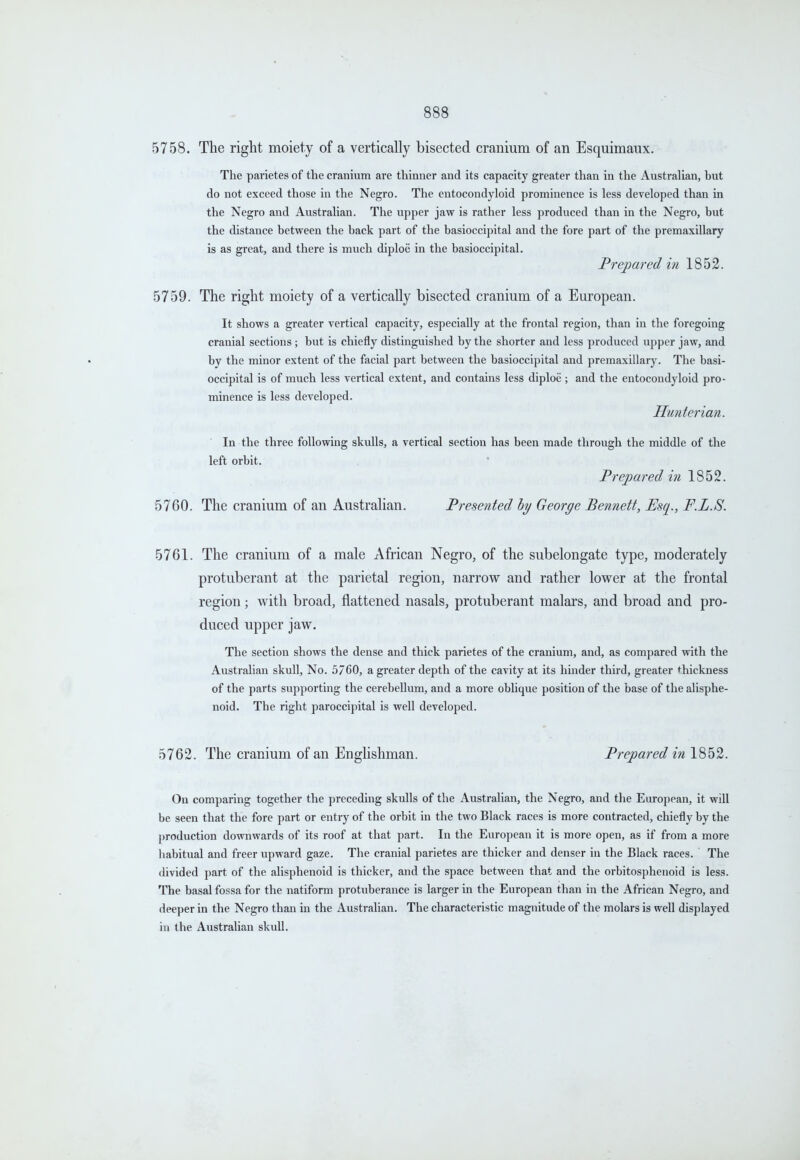 5758. The right moiety of a vertically bisected cranium of an Esquimaux. The parietes of the cranium are thinner and its capacity greater than in the Australian, but do not exceed those in the Negro. The entocondyloid prominence is less developed than in the Negro and Australian. The upper jaw is rather less produced than in the Negro, but the distance between the back part of the basioccipital and the fore part of the premaxillary is as great, and there is much diploe in the basioccipital. Prepared in 1852. 5759. The right moiety of a vertically bisected cranium of a European. It shows a greater vertical capacity, especially at the frontal region, than in the foregoing cranial sections; but is chiefly distinguished by the shorter and less produced ujjper jaw, and by the minor extent of the facial part between the basioccipital and premaxillary. The basi- occipital is of much less vertical extent, and contains less diploe ; and the entocondyloid pro- minence is less developed. Hunter ian. In the three following skulls, a vertical section has been made through the middle of the left orbit. Prepared in 1852. 57GO. The cranium of an Australian. Presented hy George Bennett, Esq., F.L.S. 5761. The cranium of a male African Negro, of the subelongate type, moderately protuberant at the parietal region, narrow and rather lovrer at the frontal region; with broad, flattened nasals, protuberant malars, and broad and pro- duced upper jaw. The section shows the dense and thick parietes of the cranium, and, as compared with the Australian skull. No. 5760, a greater depth of the cavity at its hinder third, greater thickness of the parts supporting the cerebellum, and a more oblique position of the base of the alisphe- noid. The right paroccipital is well developed. 5762. The cranium of an Englishman. Prepared in 1852. On comparing together the preceding skulls of the Australian, the Negro, and the Euroi)Pan, it will be seen that the fore part or entry of the orbit in the two Black races is more contracted, chiefly by the production downwards of its roof at that part. In the European it is more open, as if from a more habitual and freer upward gaze. The cranial parietes are thicker and denser in the Black races. The divided part of the alisphenoid is thicker, and the space between that and the orbitosphenoid is less. The basal fossa for the natiform protuberance is larger in the European than in the African Negro, and deeper in the Negro than in the Australian. The characteristic magnitude of the molars is well displayed in the Australian skull.