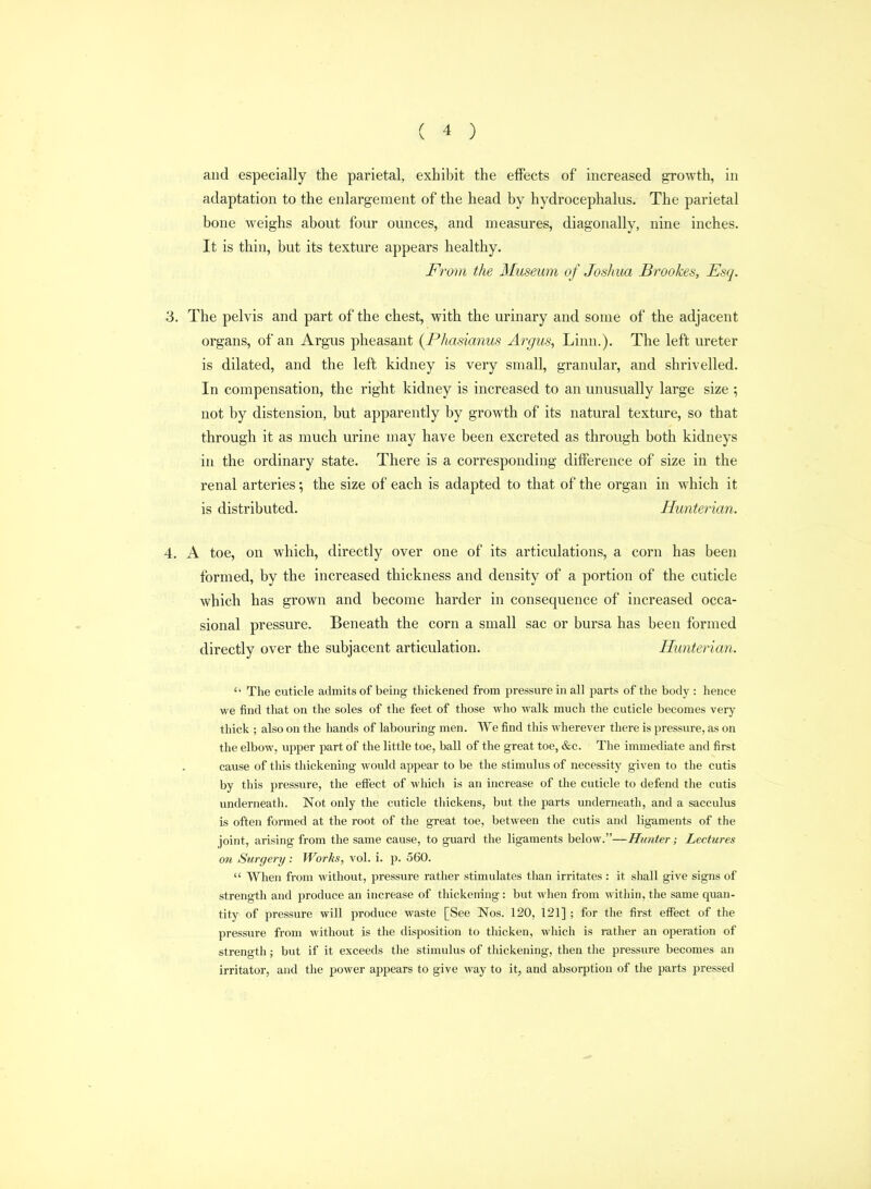 and especially the parietal, exhibit the effects of increased growth, in adaptation to the enlargement of the head by hydrocephalus. The parietal bone weighs about four ounces, and measures, diagonally, nine inches. It is thin, but its texture appears healthy. From the Museum of Joshua Brookes, Esq. 3. The pelvis and part of the chest, with the urinary and some of the adjacent organs, of an Argus pheasant {Phasianus Argus, Linn.). The left ureter is dilated, and the left kidney is very small, granular, and shrivelled. In compensation, the right kidney is increased to an unusually large size ; not by distension, but apparently by growth of its natural texture, so that through it as much urine may have been excreted as through both kidneys in the ordinary state. There is a corresponding difference of size in the renal arteries; the size of each is adapted to that of the organ in which it is distributed. Hunterian. 4. A toe, on which, directly over one of its articulations, a corn has been formed, by the increased thickness and density of a portion of the cuticle which has grown and become harder in consequence of increased occa- sional pressure. Beneath the corn a small sac or bursa has been formed directly over the subjacent articulation. Hunterian.  The cuticle admits of being thickened from pressure in all parts of the body : hence we find that on the soles of the feet of those wlio walk mucli the cuticle becomes very thick ; also on the hands of labouring men. We find this wherever there is pressure, as on the elbow, upper part of the little toe, ball of the great toe, &c. The immediate and first cause of this thickening would appear to be the stimulus of necessity given to the cutis by this pressure, the effect of which is an increase of the cuticle to defend the cutis underneatli. Not only the cuticle tliickens, but tlie parts underneath, and a sacculus is often formed at the root of the great toe, between the cutis antl ligaments of the joint, arising from the same cause, to guard the ligaments below.—Hunter; Lectures on Surgery : Works, vol. i. p. 560.  When from without, pressure rather stimulates than irritates : it shall give signs of strength and produce an increase of thickening: but when from within, the same quan- tity of pressure will produce waste [See Nos. 120, 121] ; for the first effect of the pressure from without is the disposition to thicken, which is rather an operation of strength; but if it exceeds the stimulus of thickening, then the pressure becomes an irritator, and the power appears to give way to it, and absorption of the parts pressed