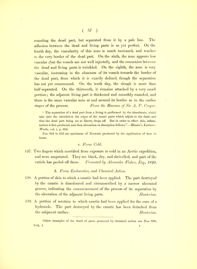 rounding the dead part, but separated from it by a pale line. The adhesion between the dead and living parts is as yet perfect. On the fourth day, the vascularity of this zone is much increased, and reaches to the very border of the dead part. On the sixth, the zone appears less vascular (but the vessels are not well injected), and the connexion between the dead and living parts is wrinkled. On the eighth, the zone is very vascular, increasing in the closeness of its vessels towards the border of the dead part, from which it is exactly defined, though the separation has not yet commenced. On the tenth day, the slough is more than half separated. On the thirteenth, it remains attached by a very small portion; the adjacent living part is thickened and smoothly rounded, and there is the same vascular zone at and around its border as in the earlier stages of the process. From the Museum of Sir A. P. Cooper.  The separation of a dead part from a living is performed by the absorbents, wiiich taise into the circulation the edges of the sound parts which adjoin to the dead, and thus the dead part being set at liberty drops off. But in order to effect this, inflam- mation is first produced, and then ulceration or absorption follows.—Hunter's Lectures : Works, vol. i. p. 606. Nos. 641 to 653 are specimens of Necrosis produced by the application of heat to bones. c. From Cold. 137. Two fingers which mortified from exposure to cold in an Arctic expedition, and were amputated. They are black, dry, and shrivelled, and part of the cuticle has peeled off them. Presented by Alexander Fisher, Esq., 1820. d. From Escharotics, and Chemical Aetion. 138. A portion of skin to which a caustic had been applied. The part destroyed by the caustic is discoloured and circumscribed by a narrow ulcerated groove, indicating the commencement of the process of its separation by the ulceration of the adjacent living parts. Hunterian. 139. A portion of scrotum to which caustic had been applied for the cure of a hydrocele. The part destroyed by the caustic has been detached from the subjacent surface. Hunterian. Other examples of the deatli of parts produced by chemical action are Nos. 898, VOL. I. I