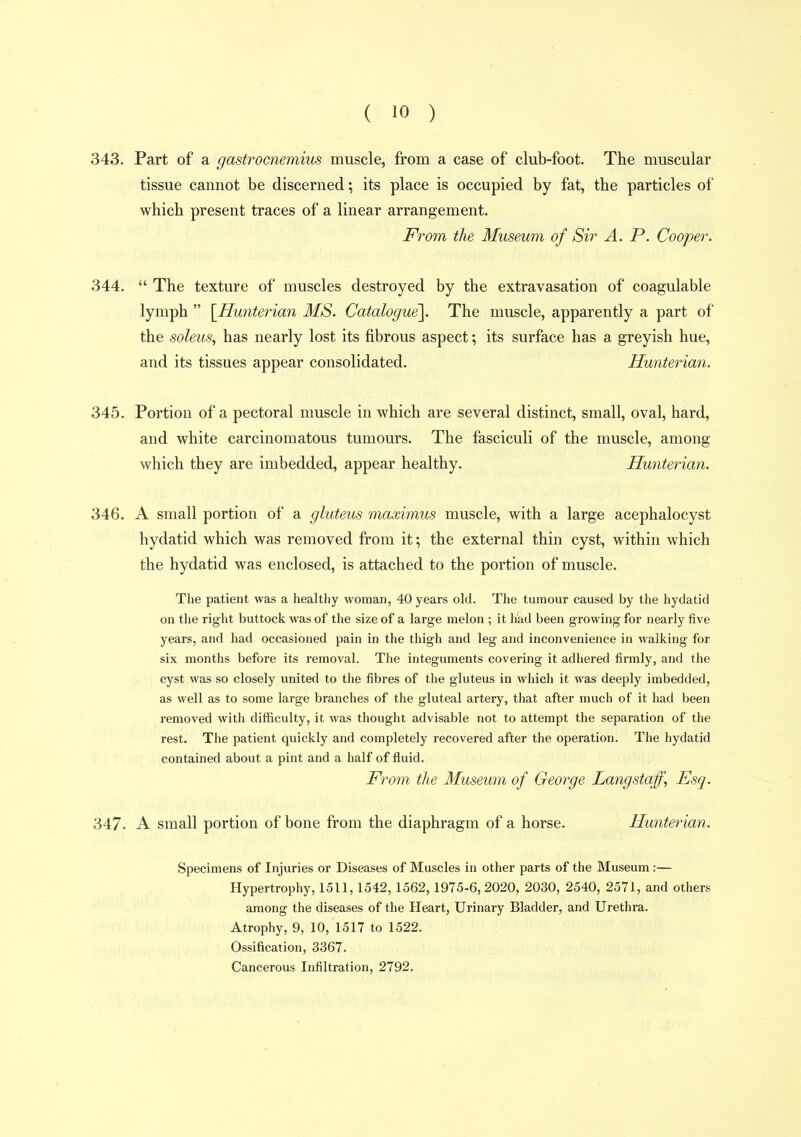 343. Part of a gastrocnemius muscle, from a case of club-foot. The muscular tissue cannot be discerned; its place is occupied by fat, the particles of which present traces of a linear arrangement. From the Museum of Sir A. P. Cooper. 344.  The texture of muscles destroyed by the extravasation of coagulable lymph  [^Hunterian MS. Catalogue']. The muscle, apparently a part of the soleus, has nearly lost its fibrous aspect; its surface has a greyish hue, and its tissues appear consolidated. Hunterian. 345. Portion of a pectoral muscle in which are several distinct, small, oval, hard, and white carcinomatous tumours. The fasciculi of the muscle, among which they are imbedded, appear healthy. Hunterian. 346. A small portion of a gluteus maximus muscle, with a large acephalocyst hydatid which was removed from it; the external thin cyst, within which the hydatid was enclosed, is attached to the portion of muscle. The patient was a healthy woman, 40 years old. The tumour caused by the hydatid on the right buttock was of the size of a large melon ; it had been growing for nearly five years, and had occasioned pain in the thigh and leg and inconvenience in walking for six months before its removal. The integuments covering it adhered firmly, and the cyst was so closely united to the fibres of the gluteus in which it was deeply imbedded, as well as to some large branches of the gluteal artery, that after much of it had been removed with diflSculty, it was thought advisable not to attempt the separation of the rest. The patient quickly and completely recovered after the operation. The hydatid contained about a pint and a half of fluid. From the Museum of George Langstaff, Esq. 347. A small portion of bone from the diaphragm of a horse. Hunterian. Specimens of Injuries or Diseases of Muscles in other parts of the Museum:— Hypertrophy, 1511,1542,1562,1975-6,2020, 2030, 2540, 2571, and others among the diseases of the Heart, Urinary Bladder, and Urethra. Atrophy, 9, 10, 1517 to 1522. Ossification, 3367. Cancerous Infiltration, 2792.