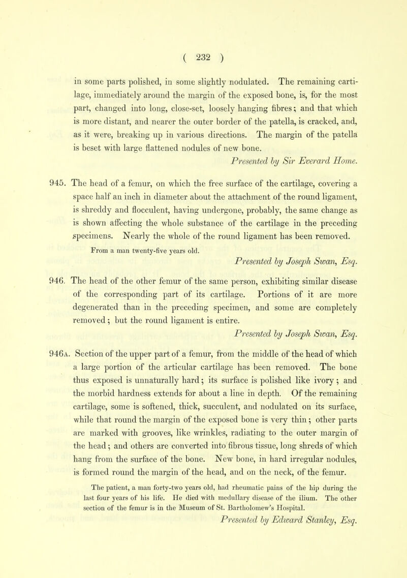 in some parts polished, in some slightly nodulated. The remaining carti- lage, immediately around the margin of the exposed bone, is, for the most part, changed into long, close-set, loosely hanging fibres; and that which is more distant, and nearer the outer border of the patella, is cracked, and, as it were, breaking up in various directions. The margin of the patella is beset with large flattened nodules of new bone. Presented by Sir Everard Home. 945. The head of a femur, on which the free surface of the cartilage, covering a space half an inch in diameter about the attachment of the round ligament, is shreddy and flocculent, having undergone, probably, the same change as is shown alfecting the whole substance of the cartilage in the preceding specimens. Nearly the whole of the round ligament has been removed. From a man twenty-five years old. Presented by Joseph Swan, Esq. 946. The head of the other femur of the same person, exhibiting similar disease of the corresponding part of its cartilage. Portions of it are more degenerated than in the preceding specimen, and some are completely removed; but the round ligament is entire. Presented by Joseph Swan, Esq. 946a. Section of the upper part of a femur, from the middle of the head of which a large portion of the articular cartilage has been removed. The bone thus exposed is unnaturally hard; its surface is polished like ivory ; and the morbid hardness extends for about a line in depth. Of the remaining cartilage, some is softened, thick, succulent, and nodulated on its surface, while that round the margin of the exposed bone is very thin; other parts are marked with grooves, like wrinkles, radiating to the outer margin of the head; and others are converted into fibrous tissue, long shreds of which hang from the surface of the bone. New bone, in hard irregular nodules, is formed round the margin of the head, and on the neck, of the femur. The patient, a man forty-two years old, had rheumatic pains of the hip during the last four years of his life. He died with medullary disease of the ilium. The other section of the femur is in the Museum of St. Bartholomew's Hospital. Presented by Edward Stanley, Esq.