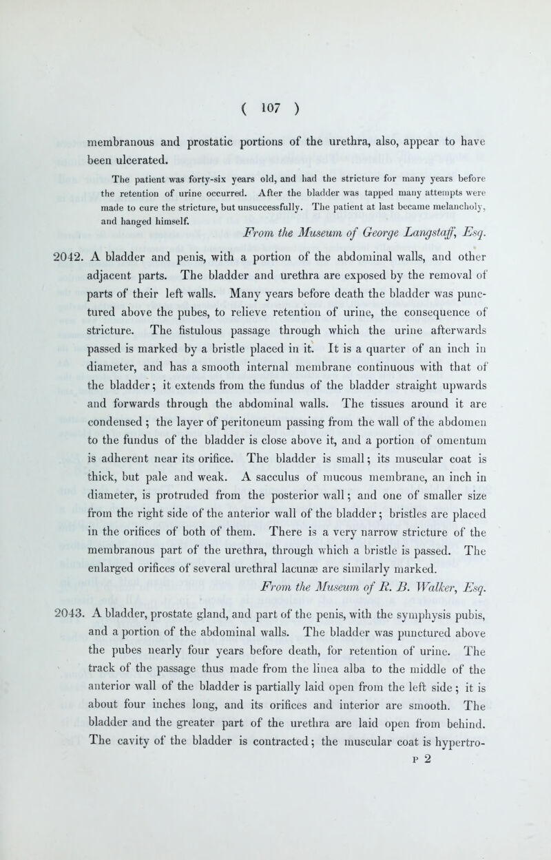membranous and prostatic portions of the urethra, also, appear to have been ulcerated. The patient was forty-six years old, and had the stricture for many years before the retention of urine occurred. After the bladder was tapped many attempts were made to cure tlie stricture, but unsuccessfully. The patient at last became melancholy, and hanged himself. From the Museum of George Langstaff, Esq. 2042. A bladder and penis, with a portion of the abdominal walls, and other adjacent parts. The bladder and urethra are exposed by the removal of parts of their left walls. Many years before death the bladder was punc- tured above the pubes, to relieve retention of urine, the consequence of stricture. The fistulous passage through which the urine afterwards passed is marked by a bristle placed in it. It is a quarter of an inch in diameter, and has a smooth internal membrane continuous with that of the bladder; it extends from the fundus of the bladder straight upwards and forwards through the abdominal walls. The tissues around it are condensed ; the layer of peritoneum passing from the wall of the abdomen to the fundus of the bladder is close above it, and a portion of omentum is adherent near its orifice. The bladder is small; its muscular coat is thick, but pale and weak. A sacculus of mucous membrane, an inch in diameter, is protruded from the posterior wall; and one of smaller size from the right side of the anterior wall of the bladder; bristles are placed in the orifices of both of them. There is a very narrow stricture of the membranous part of the urethra, through which a bristle is passed. The enlarged orifices of several urethral lacuna? are similarly marked. From the Museum of R. B. Walker^ Esq. 2043. A bladder, prostate gland, and part of the penis, with the symphysis pubis, and a portion of the abdominal walls. The bladder was punctured above the pubes nearly four years before death, for retention of urine. The track of the passage thus made from the linea alba to the middle of the anterior wall of the bladder is partially laid open from the left side ; it is about four inches long, and its orifices and interior are smooth. The bladder and the greater part of the urethra are laid open from behind. The cavity of the bladder is contracted; the muscular coat is hypertro- P 2