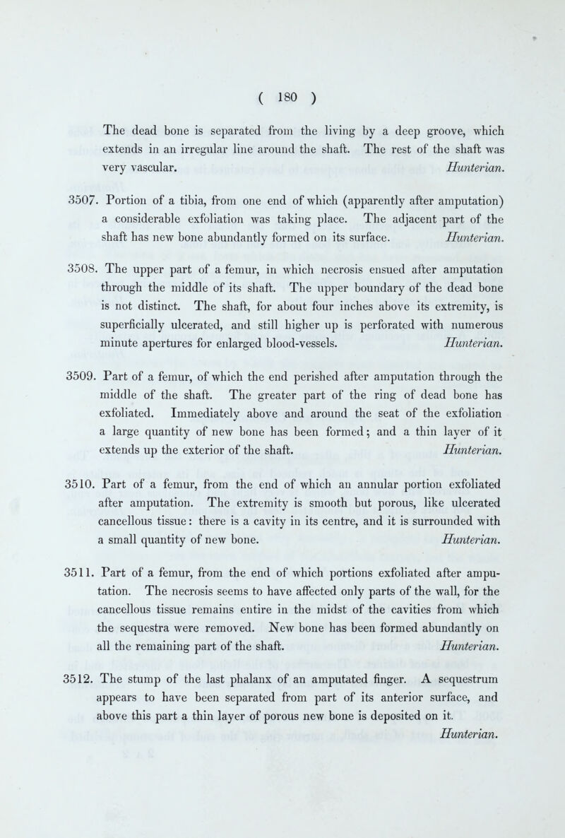 The dead bone is separated from the living by a deep groove, which extends in an irregular line around the shaft. The rest of the shaft was very vascular. Hunterian. 3507. Portion of a tibia, from one end of which (apparently after amputation) a considerable exfoliation was taking place. The adjacent part of the shaft has new bone abundantly formed on its surface. Hunterian. 3508. The upper part of a femur, in which necrosis ensued after amputation through the middle of its shaft. The upper boundary of the dead bone is not distinct. The shaft, for about four inches above its extremity, is superficially ulcerated, and still higher up is perforated with numerous minute apertures for enlarged blood-vessels. Hunterian. 3509. Part of a femur, of which the end perished after amputation through the middle of the shaft. The greater part of the ring of dead bone has exfoliated. Immediately above and around the seat of the exfoliation a large quantity of new bone has been formed; and a thin layer of it extends up the exterior of the shaft. Hunterian. 3510. Part of a femur, from the end of which an annular portion exfoliated after amputation. The extremity is smooth but porous, like ulcerated cancellous tissue: there is a cavity in its centre, and it is surrounded with a small quantity of new bone. Hunterian. 3511. Part of a femur, from the end of which portions exfoliated after ampu- tation. The necrosis seems to have affected only parts of the wall, for the cancellous tissue remains entire in the midst of the cavities from which the sequestra were removed. New bone has been formed abundantly on all the remaining part of the shaft. Hunterian. 3512. The stump of the last phalanx of an amputated finger. A sequestrum appears to have been separated from part of its anterior surface, and above this part a thin layer of porous new bone is deposited on it. Hunterian.