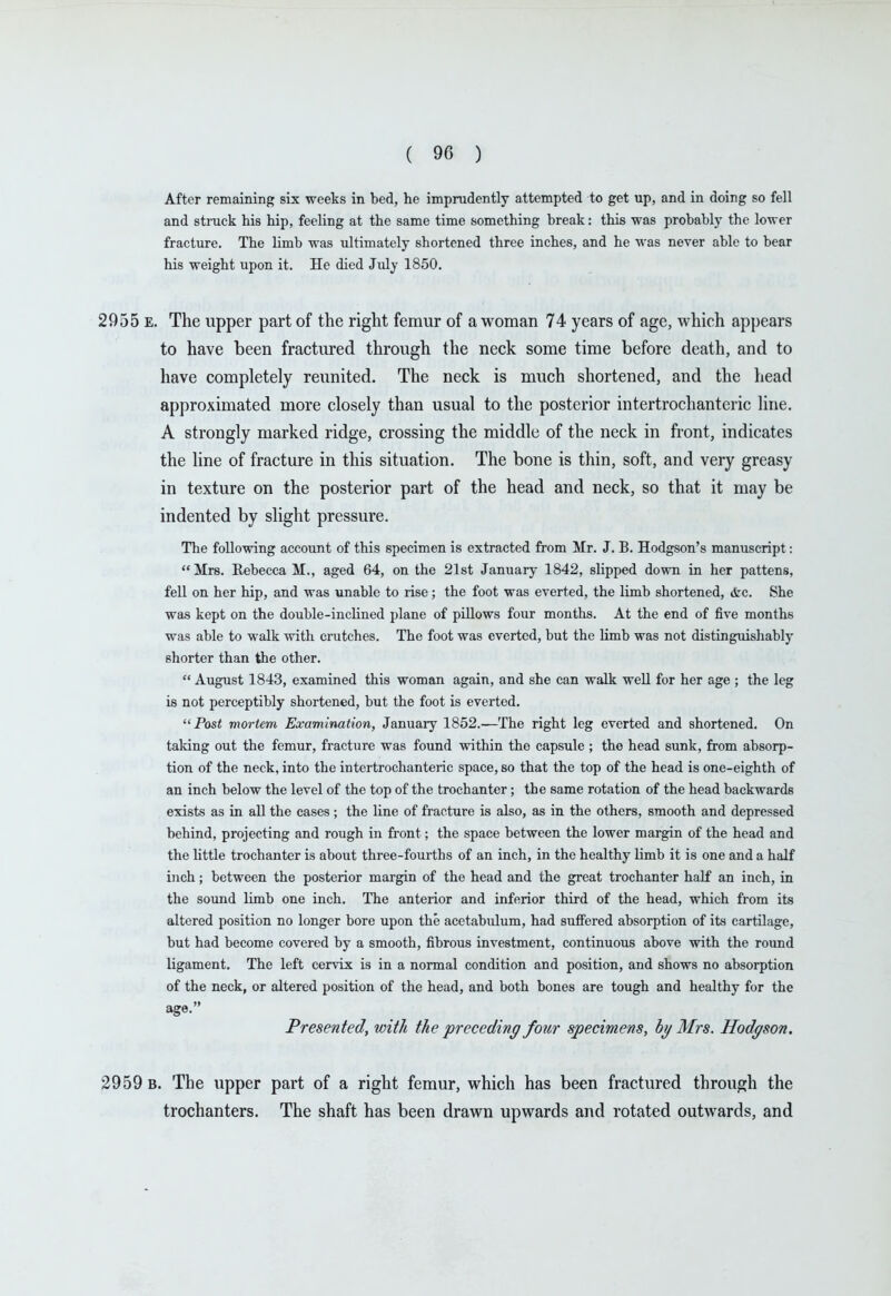 After remaining six weeks in bed, he imprudently attempted to get up, and in doing so fell and struck his hip, feeling at the same time something break: this was probably the lower fracture. The limb was ultimately shortened three inches, and he was never able to bear his weight upon it. He died July 1850. 2955 E. The upper part of the right femur of a woman 74 years of age, which appears to have been fractiu'ed through the neck some time before death, and to have completely reunited. The neck is much shortened, and the head approximated more closely than usual to the posterior intertrochanteric line. A strongly marked ridge, crossing the middle of the neck in front, indicates the line of fracture in this situation. The bone is thin, soft, and very greasy in texture on the posterior part of the head and neck, so that it may be indented by shght pressure. The following account of this specimen is extracted from Mr. J. B. Hodgson's manuscript: Mrs. Rebecca M., aged 64, on the 21st January 1842, slipped down in her pattens, fell on her hip, and was unable to rise; the foot was everted, the limb shortened, &c. She was kept on the double-inclined plane of pillows four months. At the end of five months was able to walk with crutches. The foot was everted, but the limb was not distinguishably shorter than the other.  August 1843, examined this woman again, and she can walk well for her age ; the leg is not perceptibly shortened, but the foot is everted. Post mortem Examination, January 1852.—The right leg everted and shortened. On taking out the femur, fracture was found within the capsule ; the head sunk, from absorp- tion of the neck, into the intertrochanteric space, so that the top of the head is one-eighth of an inch below the level of the top of the trochanter; the same rotation of the head backwards exists as in all the cases ; the line of fracture is also, as in the others, smooth and depressed behind, projecting and rough in front; the space between the lower margin of the head and the little trochanter is about three-fourths of an inch, in the healthy limb it is one and a half inch; between the posterior margin of the head and the great trochanter half an inch, in the sound limb one inch. The anterior and inferior third of the head, which from its altered position no longer bore upon the acetabulum, had suffered absorption of its cartilage, but had become covered by a smooth, fibrous investment, continuous above with the roimd ligament. The left cervix is in a normal condition and position, and shows no absorption of the neck, or altered position of the head, and both bones are tough and healthy for the age. Presented, with the preceding four specimens, hy Mrs. Hodgson. 2959 B. The upper part of a right femur, which has been fractured through the trochanters. The shaft has been drawn upwards and rotated outwards, and