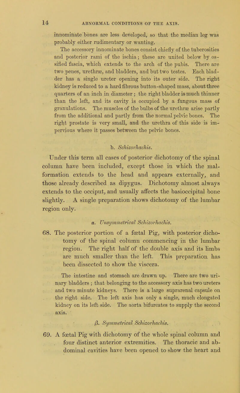 innominate bones are less developed, so that the median leg was probably either rudimentary or wanting. The accessory innominate bones consist chiefly of the tuberosities and posterior rami of the ischia; these are united below by os- sified fascia, which extends to the arch of the pubis. There are two penes, urethra, and bladders, and but two testes. Each blad- der has a single ureter opening into its outer side. The right kidney is reduced to a hard fibrous button-shaped mass, about three quarters of an inch in diameter ; the right bladder is much thinner than the left, and its cavity is occupied by a fungous mass of granulations. The muscles of the bulbs of the urethra? arise partly from the additional and partly from the normal pelvic bones. The right prostate is very small, and the urethra of this side is im- pervious where it passes between the pelvic bones. b. Schizorhachis. Under this term all cases of posterior dichotomy of the spinal column have been included, except those in which the mal- formation extends to the head and appears externally, and those already described as dipygus. Dichotomy almost always extends to the occiput, and usually affects the basioccipital bone slightly. A single preparation shows dichotomy of the lumbar region only. a. Unsymmetrical Schizorhachis. 68. The posterior portion of a foetal Pig, with posterior dicho- tomy of the spinal column commencing in the lumbar region. The right half of the double axis and its limbs are much smaller than the left. This preparation has been dissected to show the viscera. The intestine and stomach are drawn up. There are two uri- nary bladders ; that belonging to the accessory axis has two ureters and two minute kidneys. There is a large suprarenal capsule on the right side. The left axis has only a single, much elongated kidney on its left side. The aorta bifurcates to supply the second axis. /3. Symmetrical Schizorhachis. 69. A foetal Pig with dichotomy of the whole spinal column and four distinct anterior extremities. The thoracic and ab- dominal cavities have been opened to show the heart and