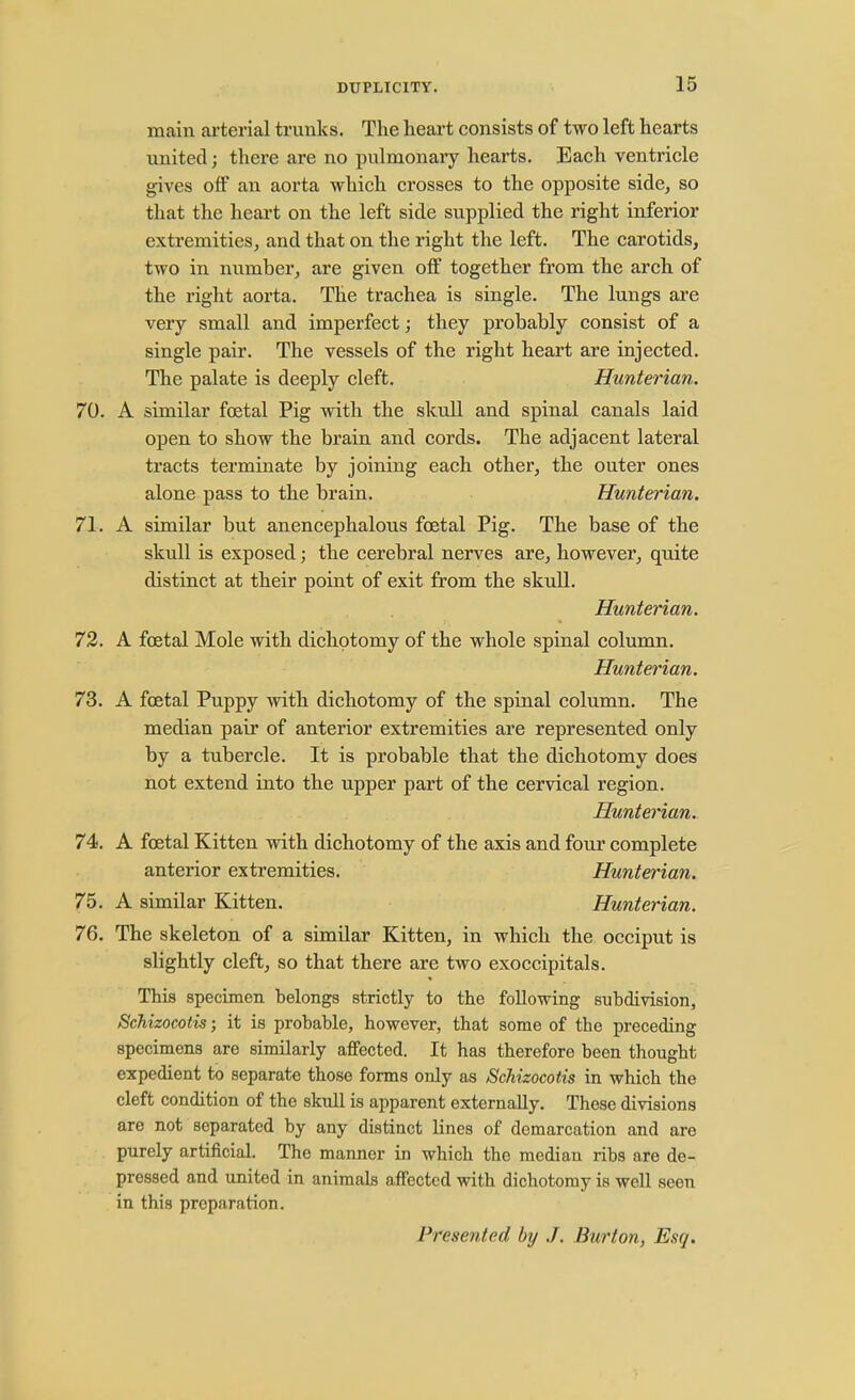 main arterial trunks. The heart consists of two left hearts united; there are no pulmonary hearts. Each ventricle gives off an aorta which crosses to the opposite side, so that the heart on the left side supplied the right inferior extremities, and that on the right the left. The carotids, two in number, are given off together from the arch of the right aorta. The trachea is single. The lungs are very small and imperfect; they probably consist of a single pair. The vessels of the right heart are injected. The palate is deeply cleft. Hunterian. 70. A similar foetal Pig with the skull and spinal canals laid open to show the brain and cords. The adjacent lateral tracts terminate by joining each other, the outer ones alone pass to the brain. Hunterian. 71. A similar but anencephalous foetal Pig. The base of the skull is exposed; the cerebral nerves are, however, quite distinct at their point of exit from the skull. Hunterian. 72. A foetal Mole with dichotomy of the whole spinal column. Hunterian. 73. A foetal Puppy with dichotomy of the spinal column. The median pair of anterior extremities are represented only by a tubercle. It is probable that the dichotomy does not extend into the upper part of the cervical region. Hunterian. 74s. A foetal Kitten with dichotomy of the axis and four complete anterior extremities. Hunterian. 75. A similar Kitten. Hunterian. 76. The skeleton of a similar Kitten, in which the occiput is slightly cleft, so that there are two exoccipitals. This specimen belongs strictly to the following subdivision, Schizocotis; it is probable, however, that some of the preceding specimens are similarly affected. It has therefore been thought expedient to separate those forms only as Schizocotis in which the cleft condition of the skull is apparent externally. These divisions are not separated by any distinct lines of demarcation and are purely artificial. The manner in which the median ribs are de- pressed and united in animals affected with dichotomy is well seen in this preparation. Presented by J. Burton, Esq.