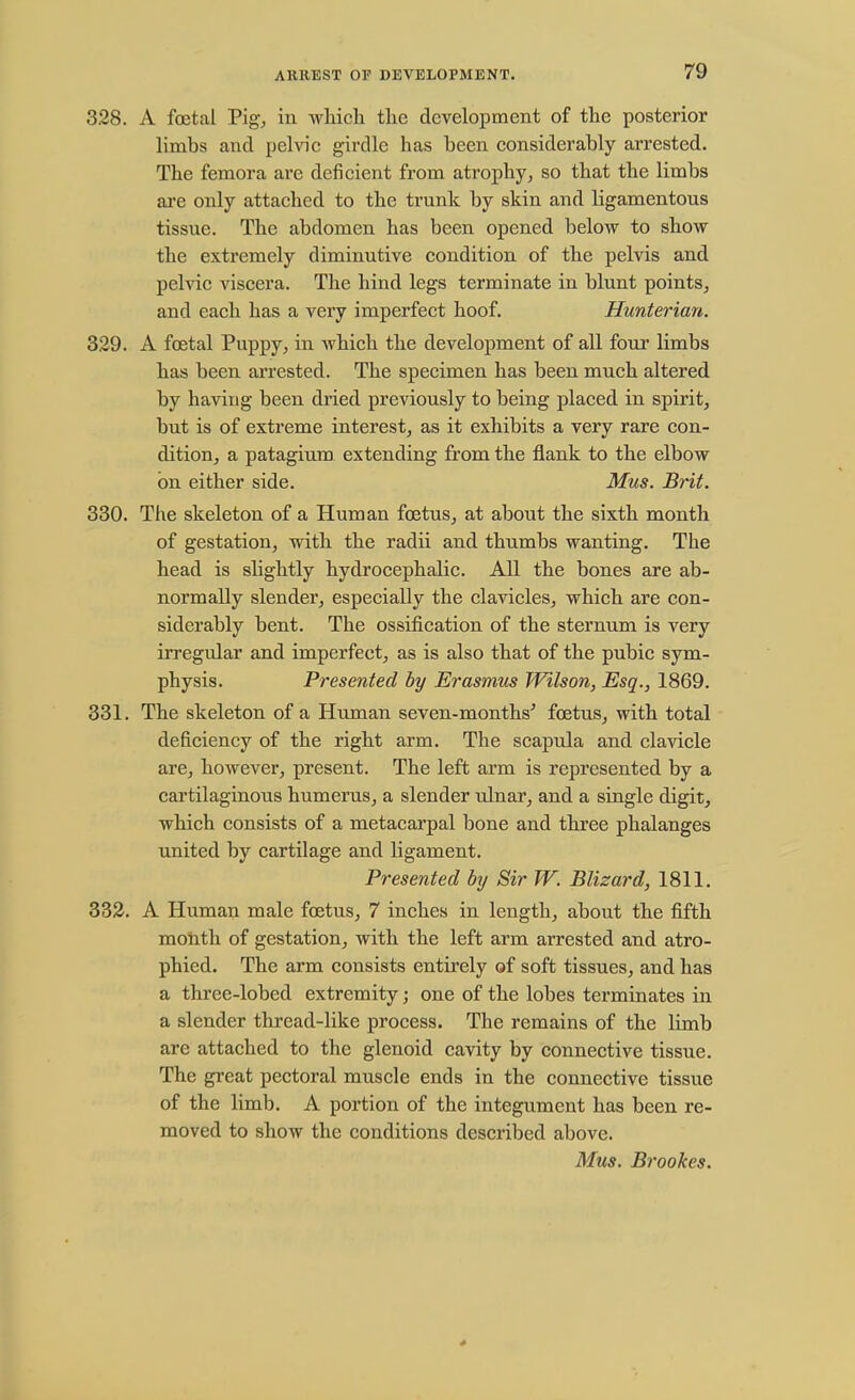 3.28. A foetal Pig, in which the development of the posterior limbs and pelvic girdle has been considerably arrested. The femora are deficient from atrophy, so that the limbs are only attached to the trunk by skin and ligamentous tissue. The abdomen has been opened below to show the extremely diminutive condition of the pelvis and pelvic viscera. The hind legs terminate in blunt points, and each has a very imperfect hoof. Hunterian. 329. A foetal Puppy, in which the development of all four limbs has been arrested. The specimen has been much altered by having been dried previously to being placed in spirit, but is of extreme interest, as it exhibits a very rare con- dition, a patagium extending from the flank to the elbow on either side. Mus. Brit. 330. The skeleton of a Human foetus, at about the sixth month of gestation, with the radii and thumbs wanting. The head is slightly hydrocephalic. All the bones are ab- normally slender, especially the clavicles, which are con- siderably bent. The ossification of the sternum is very irregular and imperfect, as is also that of the pubic sym- physis. Presented by Erasmus Wilson, Esq., 1869. 331. The skeleton of a Human seven-months' foetus, with total deficiency of the right arm. The scapula and clavicle are, however, present. The left arm is represented by a cartilaginous humerus, a slender ulnar, and a single digit, which consists of a metacarpal bone and three phalanges united by cartilage and ligament. Presented by Sir W. Blizard, 1811. 332. A Human male foetus, 7 inches in length, about the fifth month of gestation, with the left arm arrested and atro- phied. The arm consists entirely of soft tissues, and has a three-lobed extremity; one of the lobes terminates in a slender thread-like process. The remains of the limb are attached to the glenoid cavity by connective tissue. The great pectoral muscle ends in the connective tissue of the limb. A portion of the integument has been re- moved to show the conditions described above. Mus. Brookes.